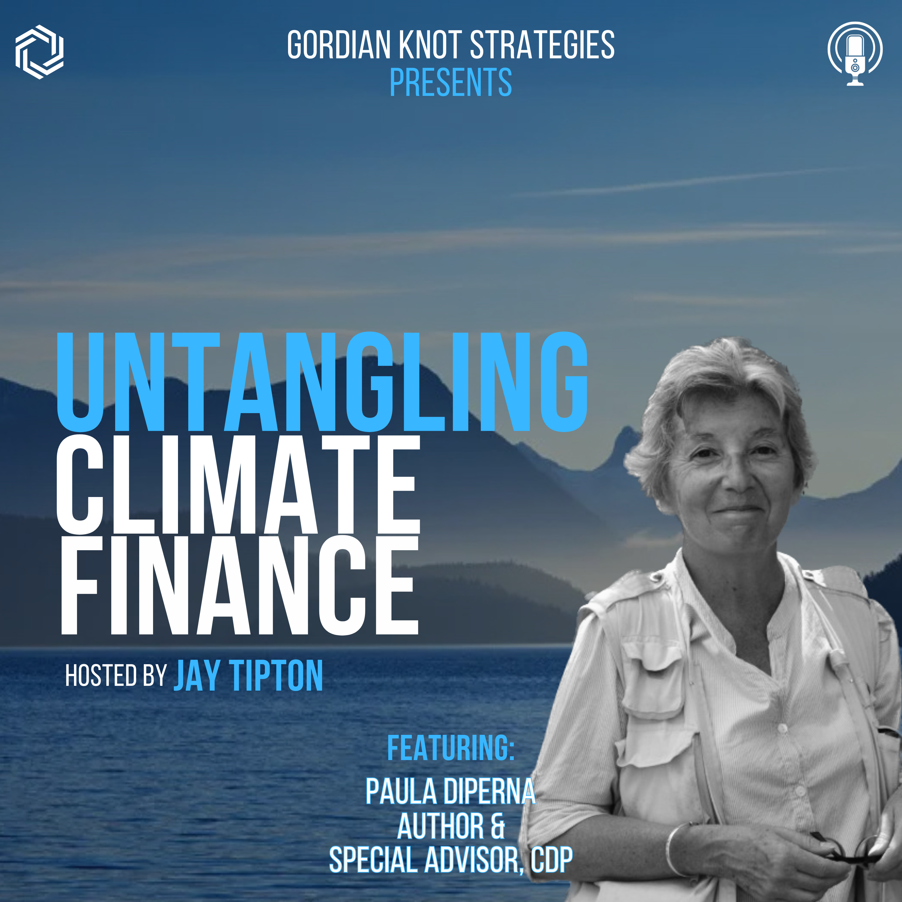 Untangling Climate Finance