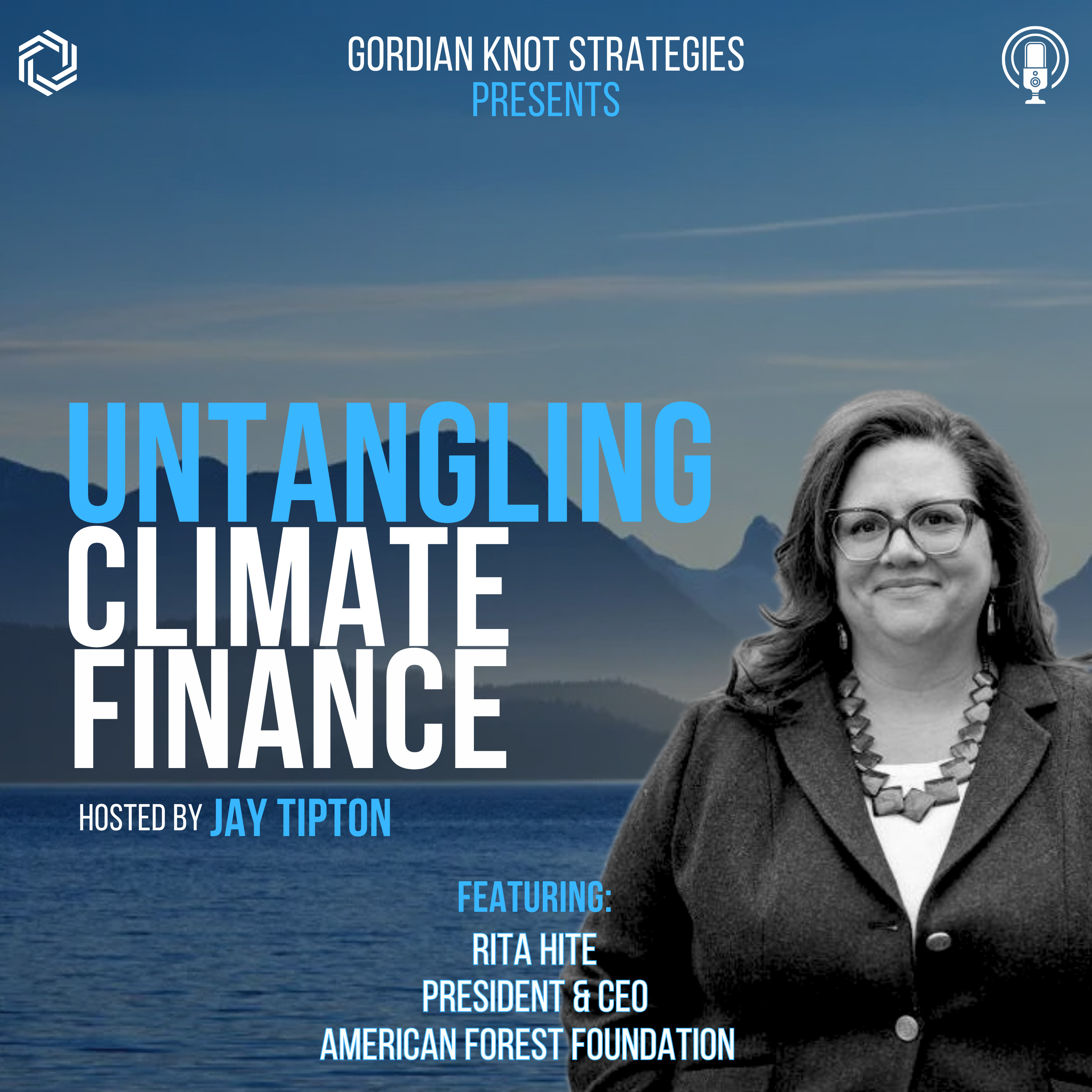 Untangling Climate Finance