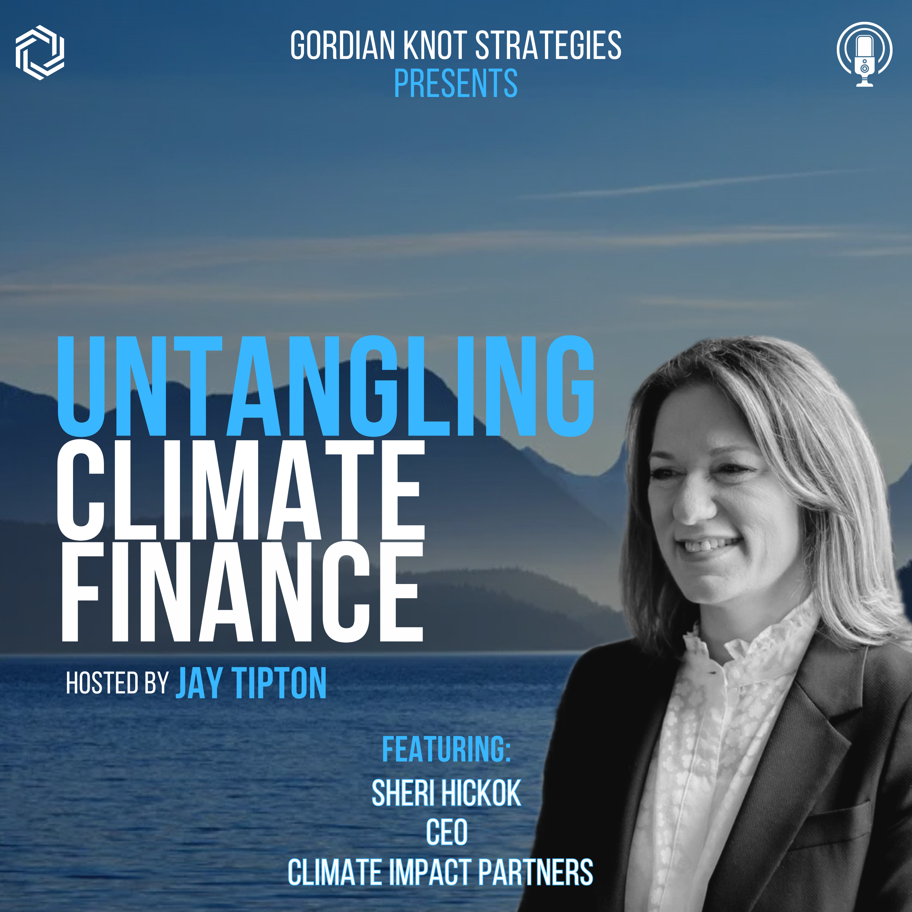 Untangling Climate Finance