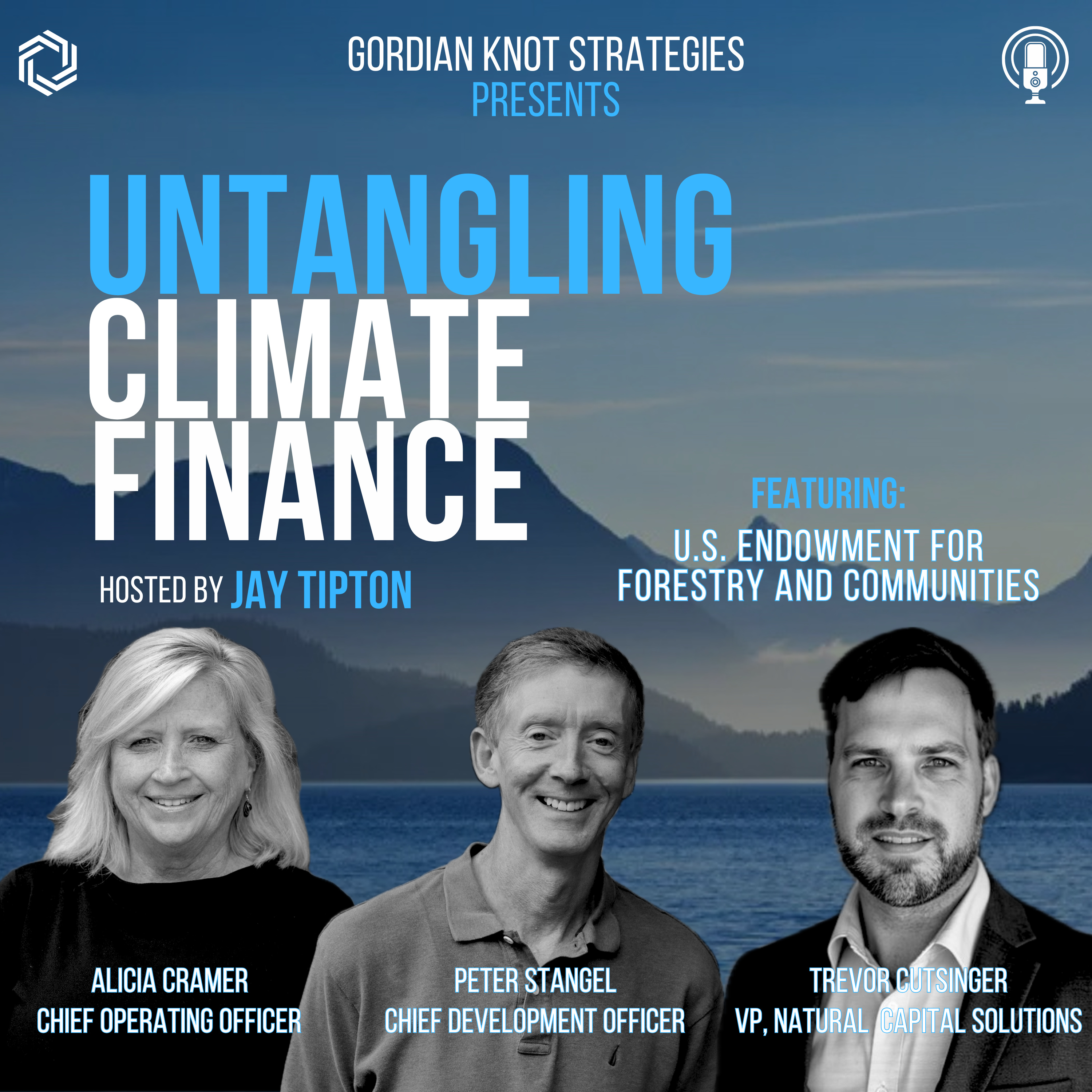 Untangling Climate Finance