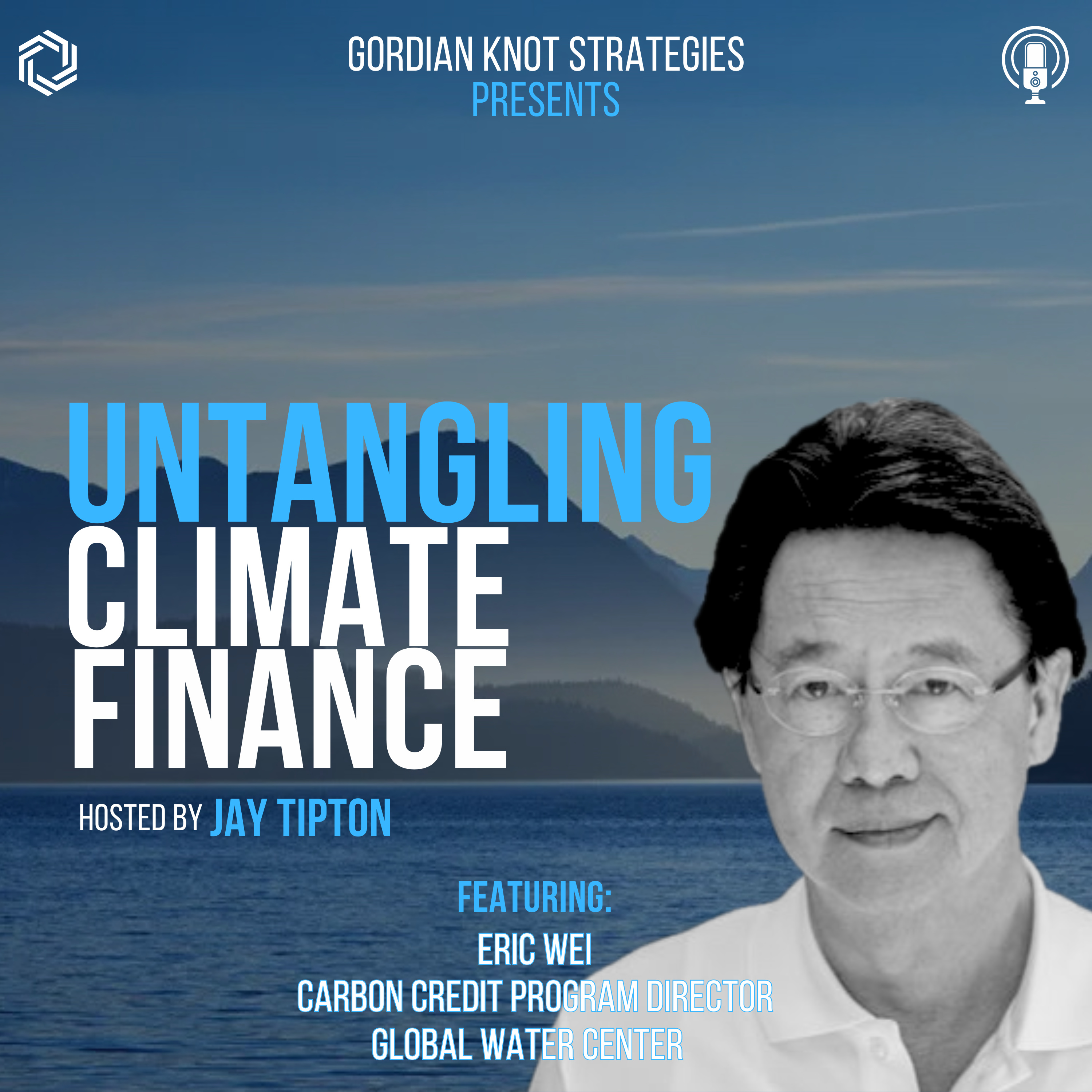 Untangling Climate Finance