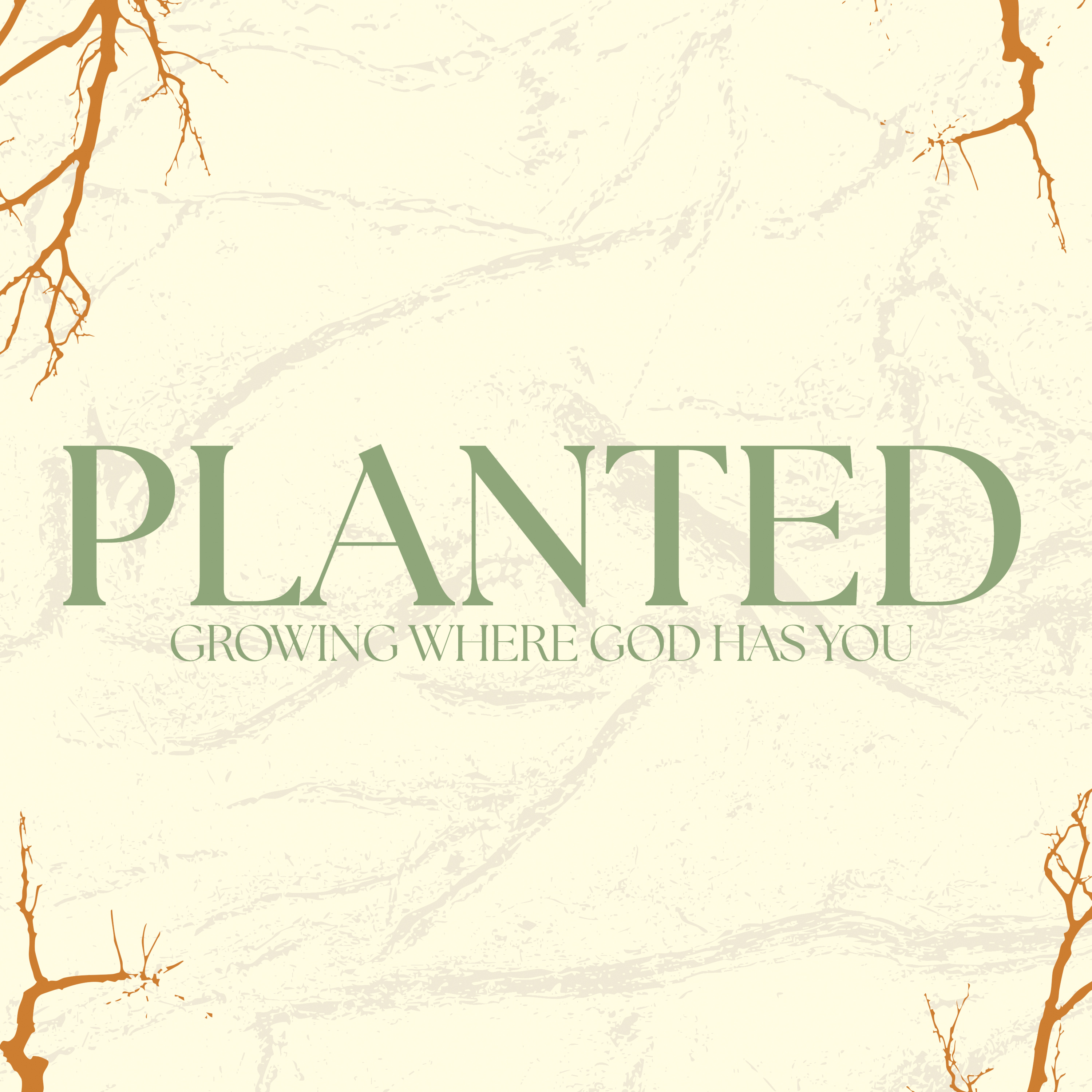 Planted: Are You Guilty? episode artwork