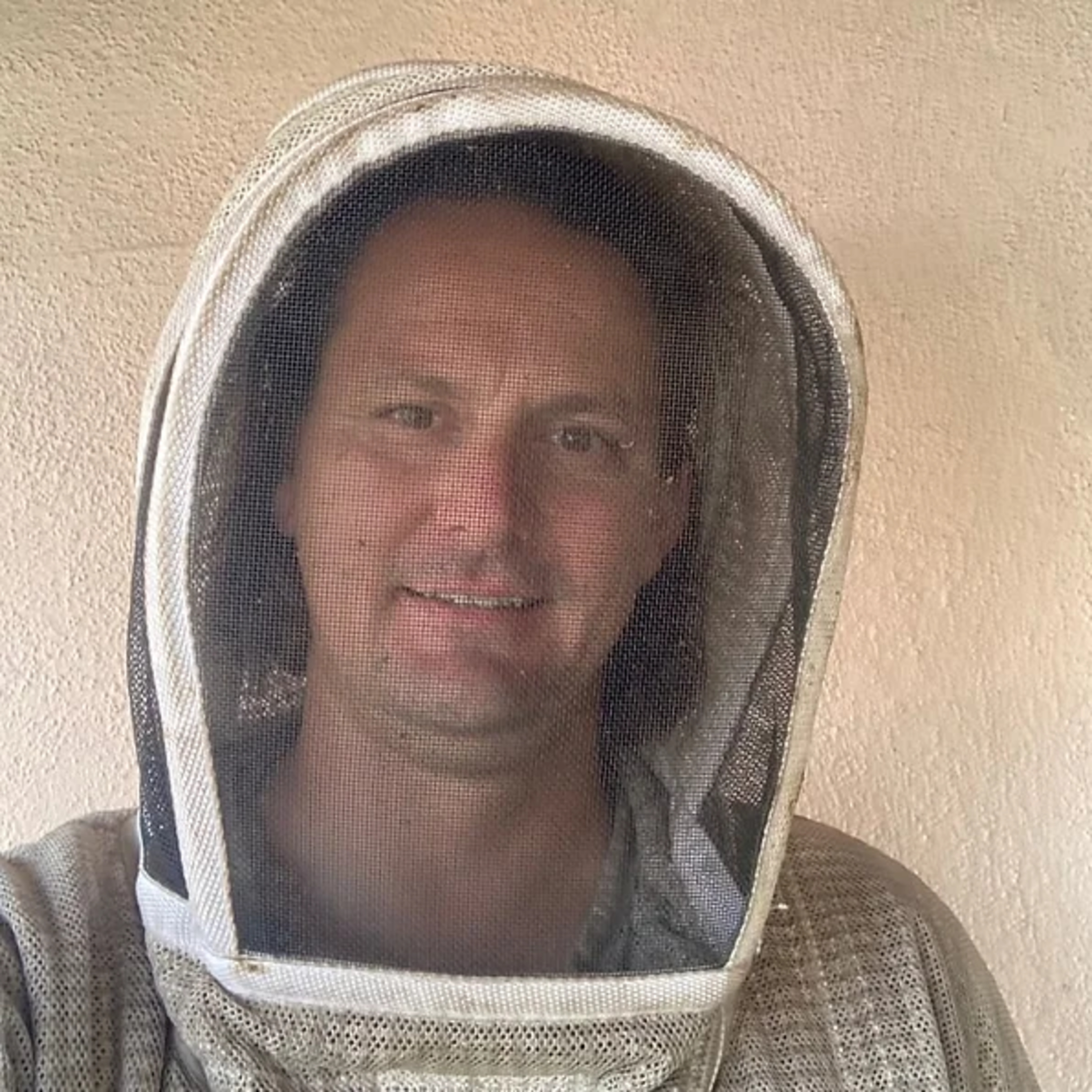 Arizona Bees