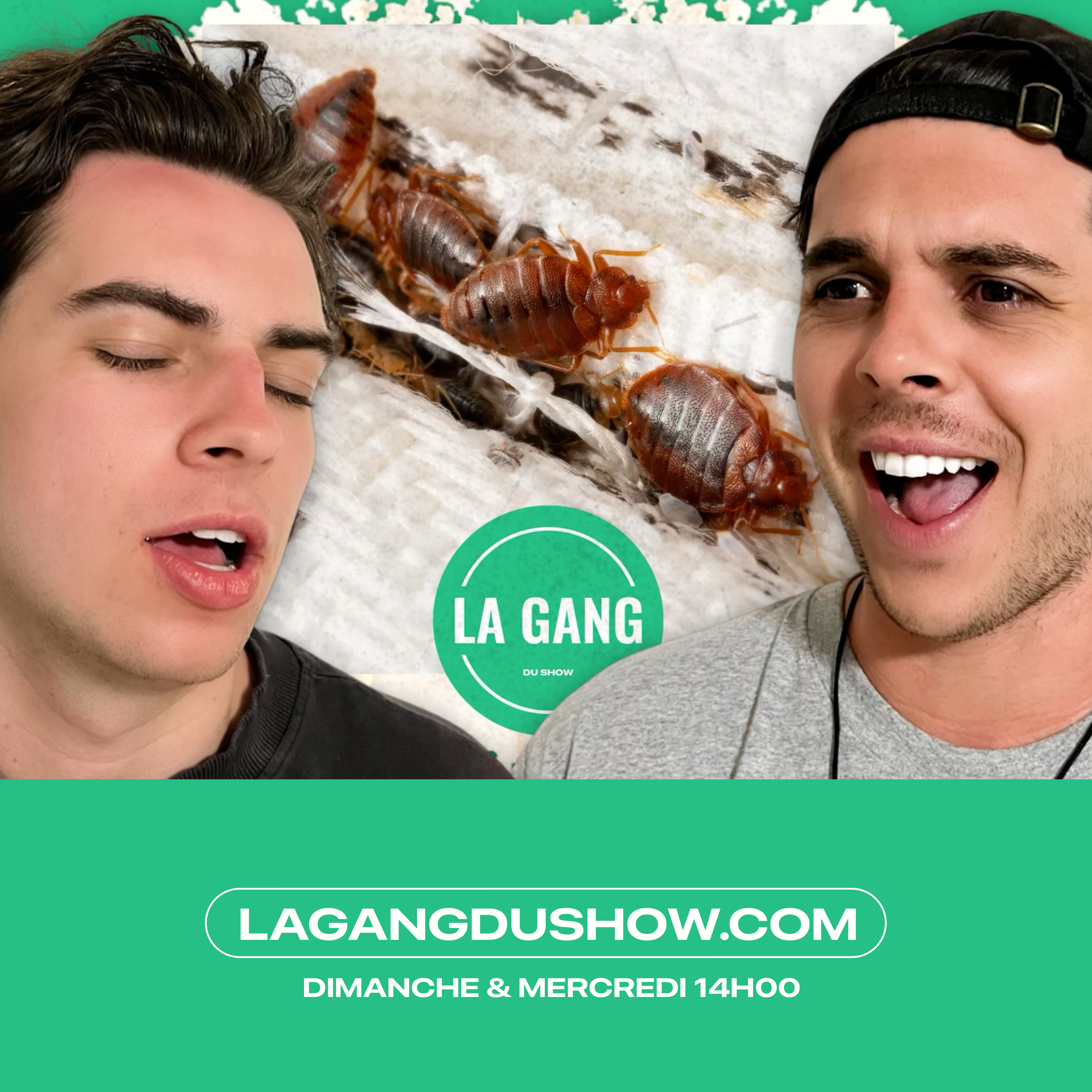 La Gang du Show