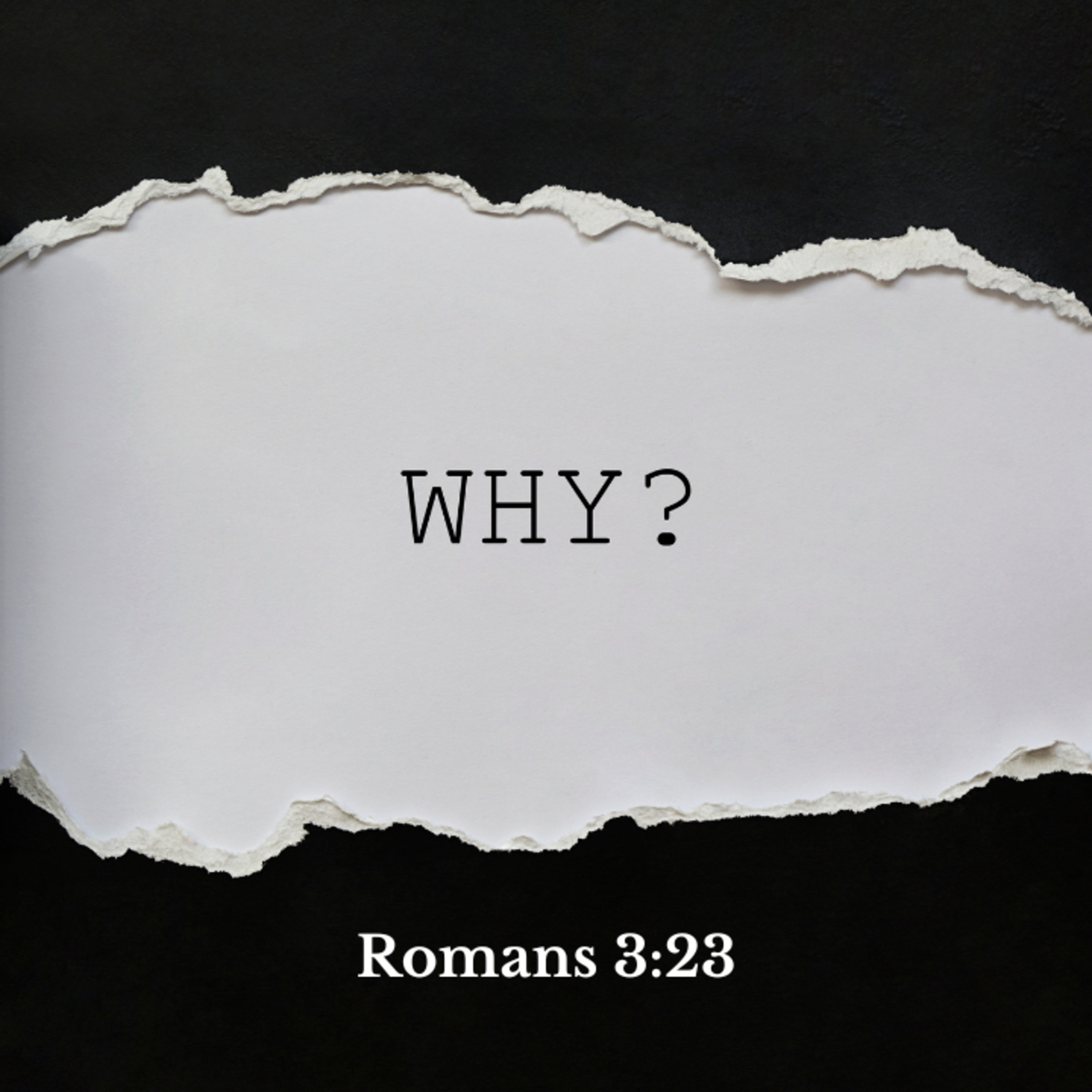 Why? episode artwork