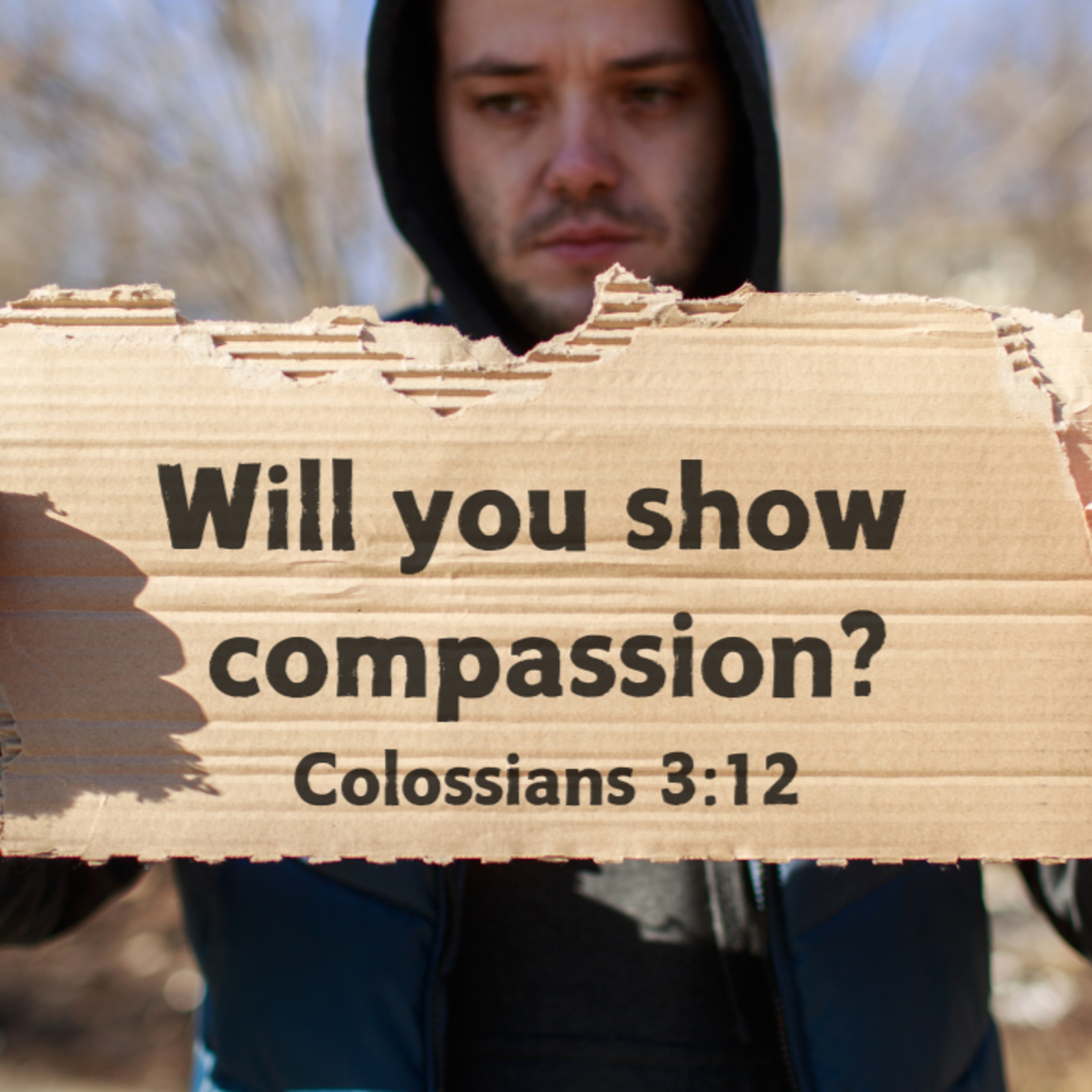 Compassion episode artwork