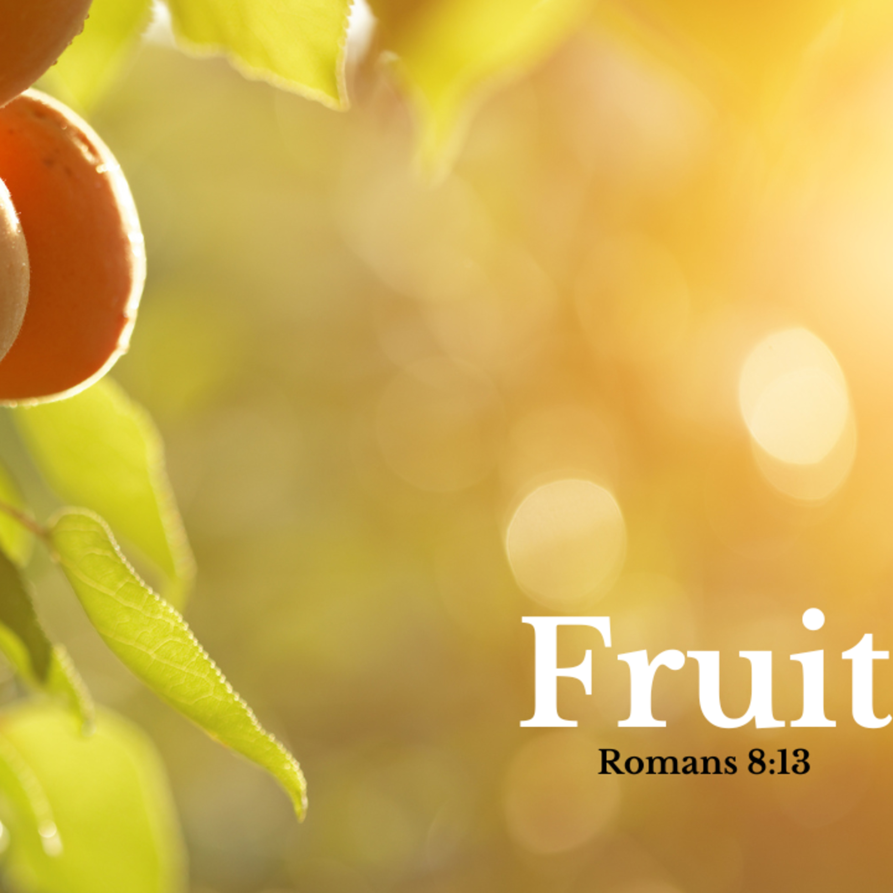 Fruit episode artwork