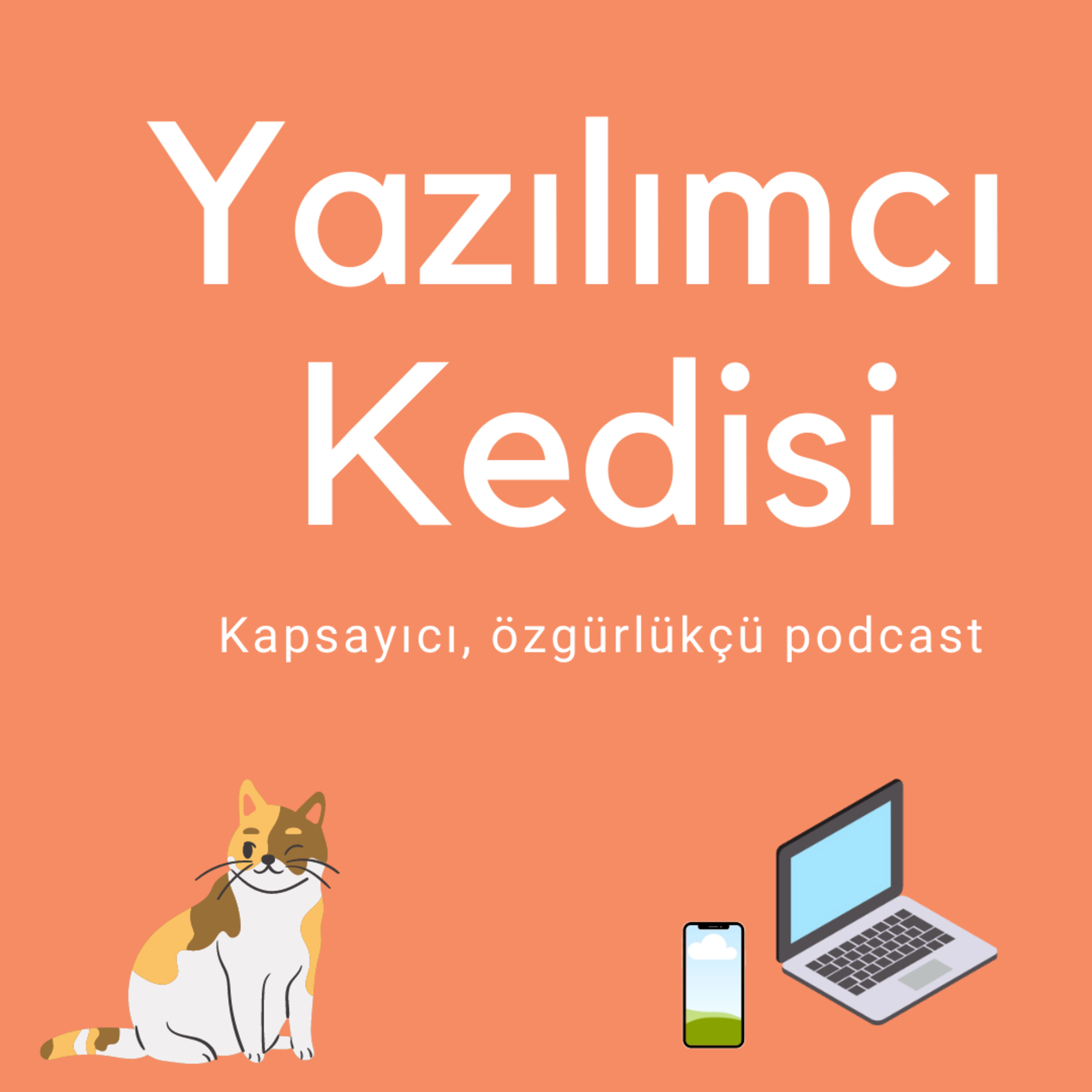 Yazılımcı Kedisi