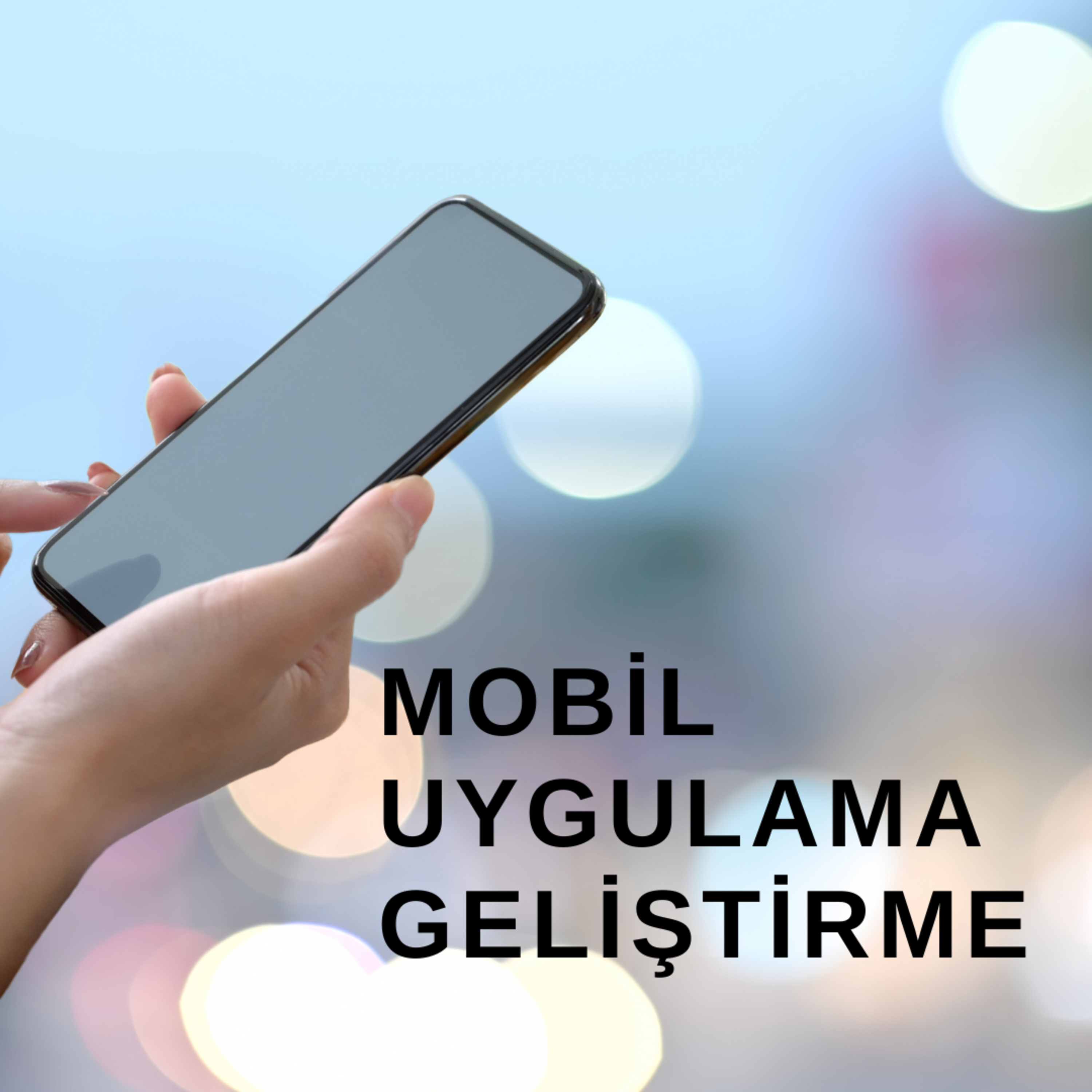 Yazılımcı Kedisi