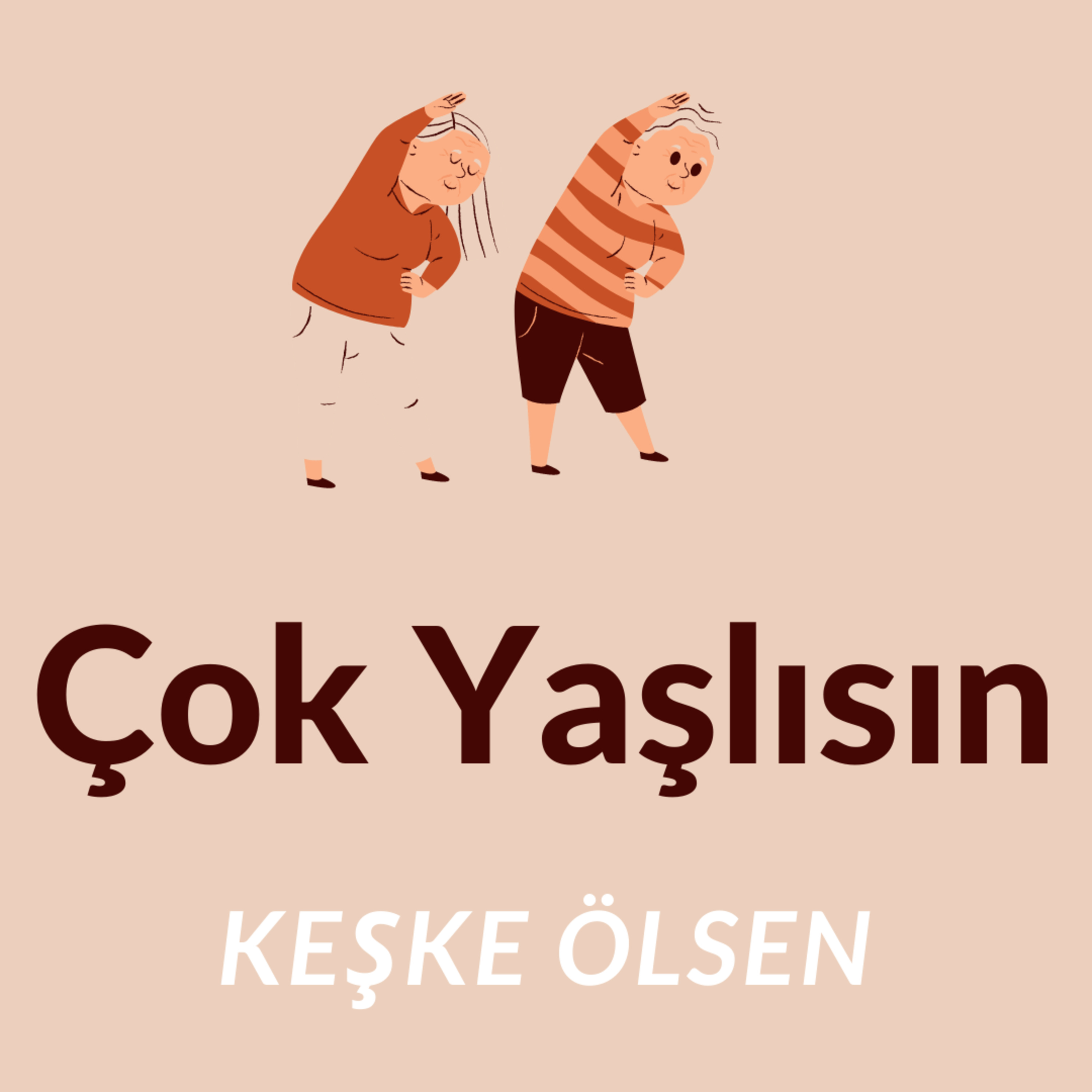 Yazılımcı Kedisi