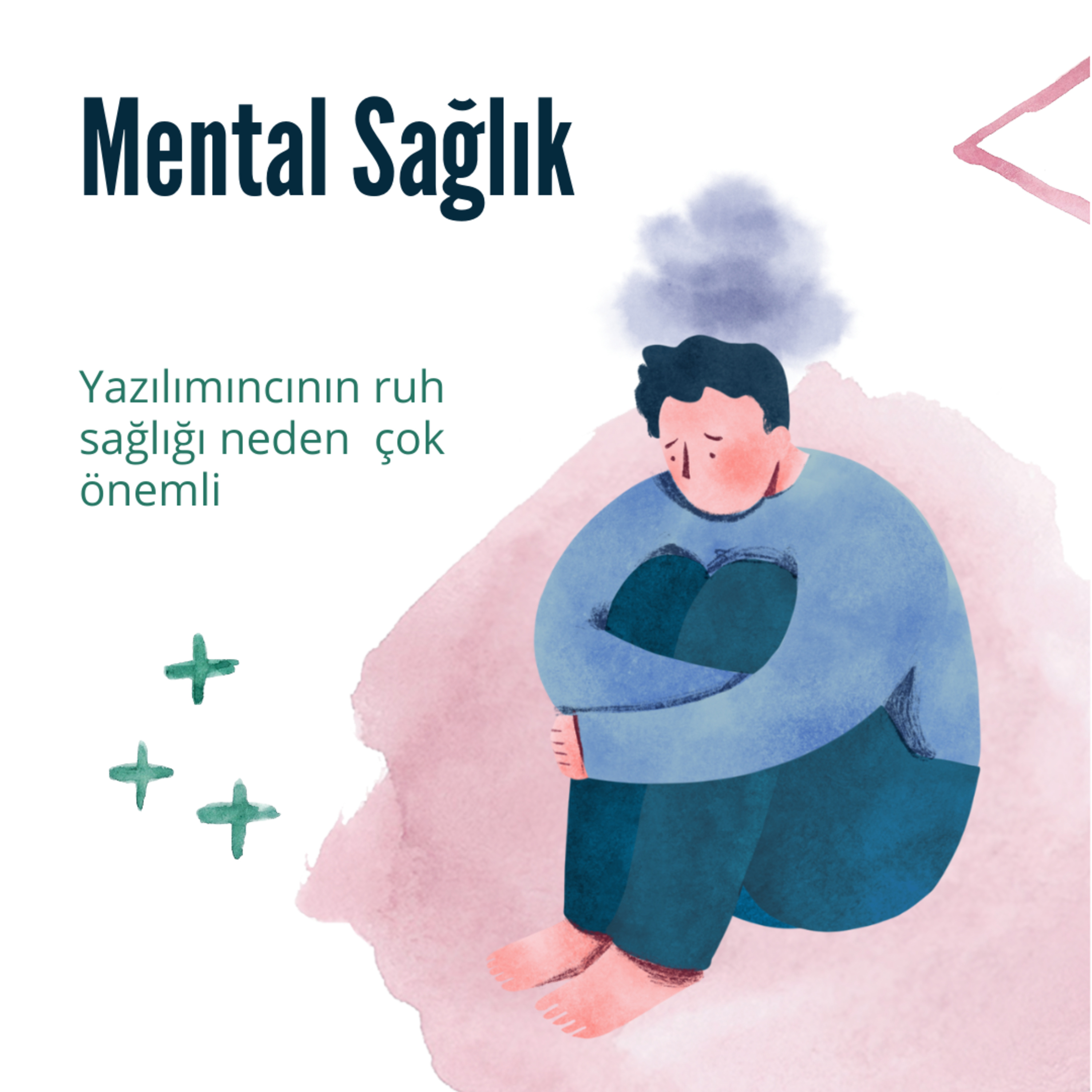 Yazılımcı Kedisi