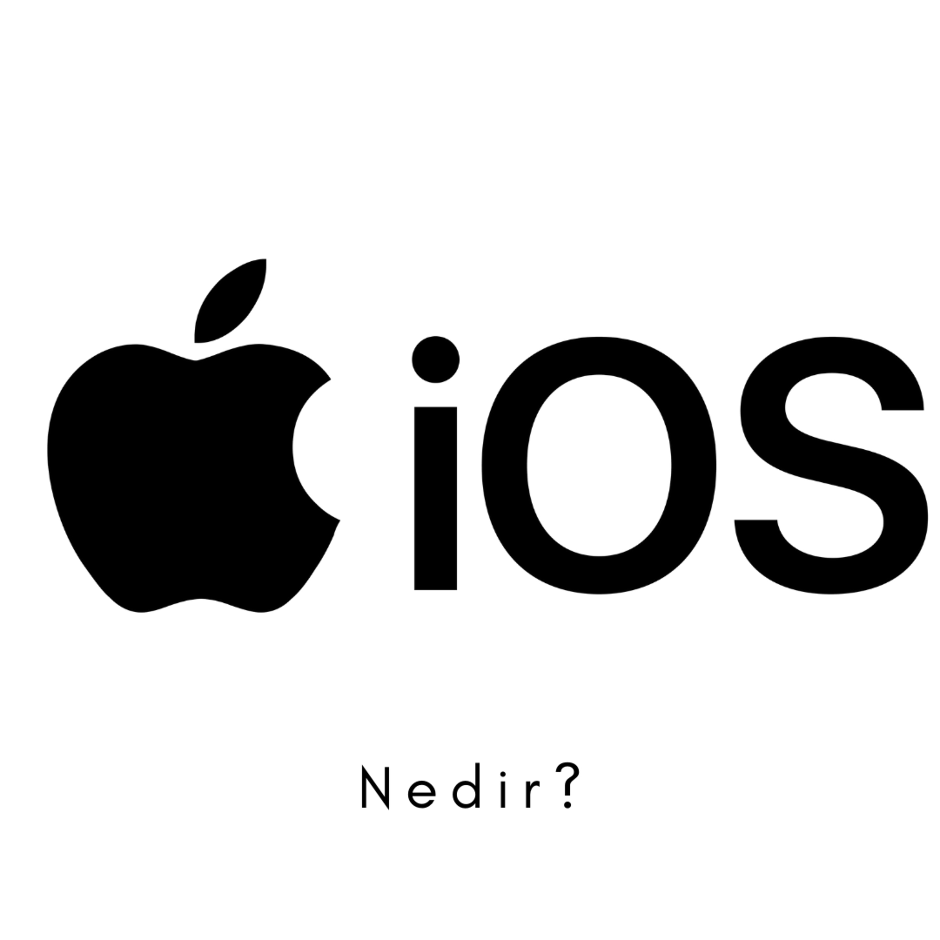 Yazılımcı Kedisi