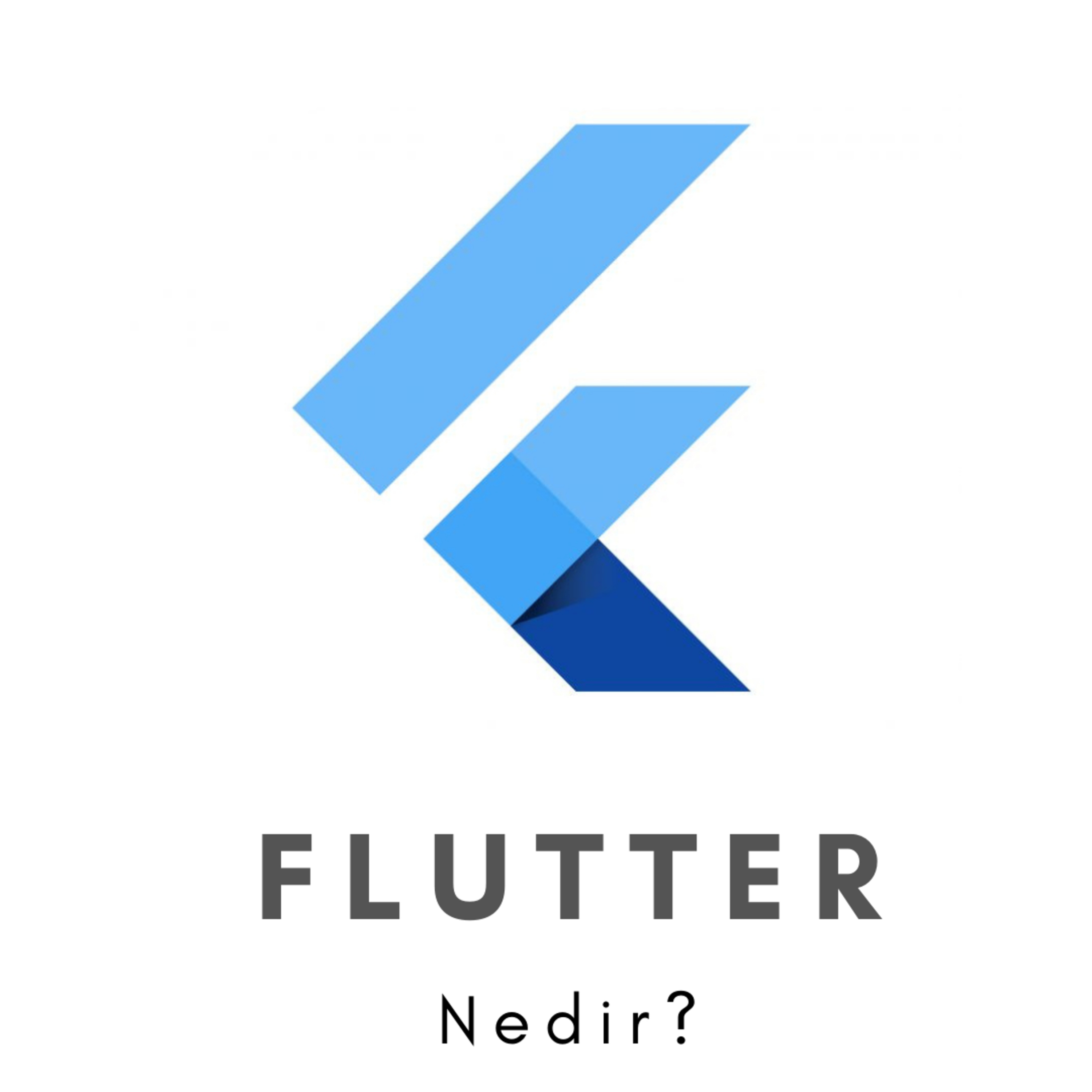 Yazılımcı Kedisi