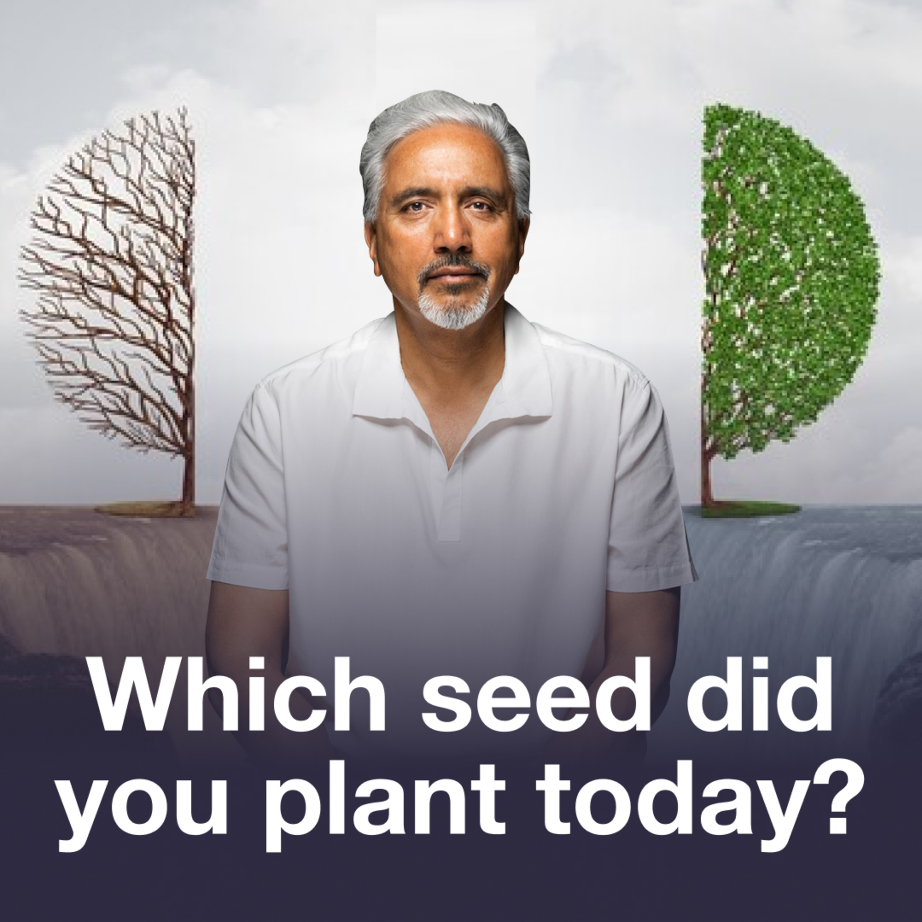 Which Seed Did You Plant Today: Karma | Dave Mann episode artwork