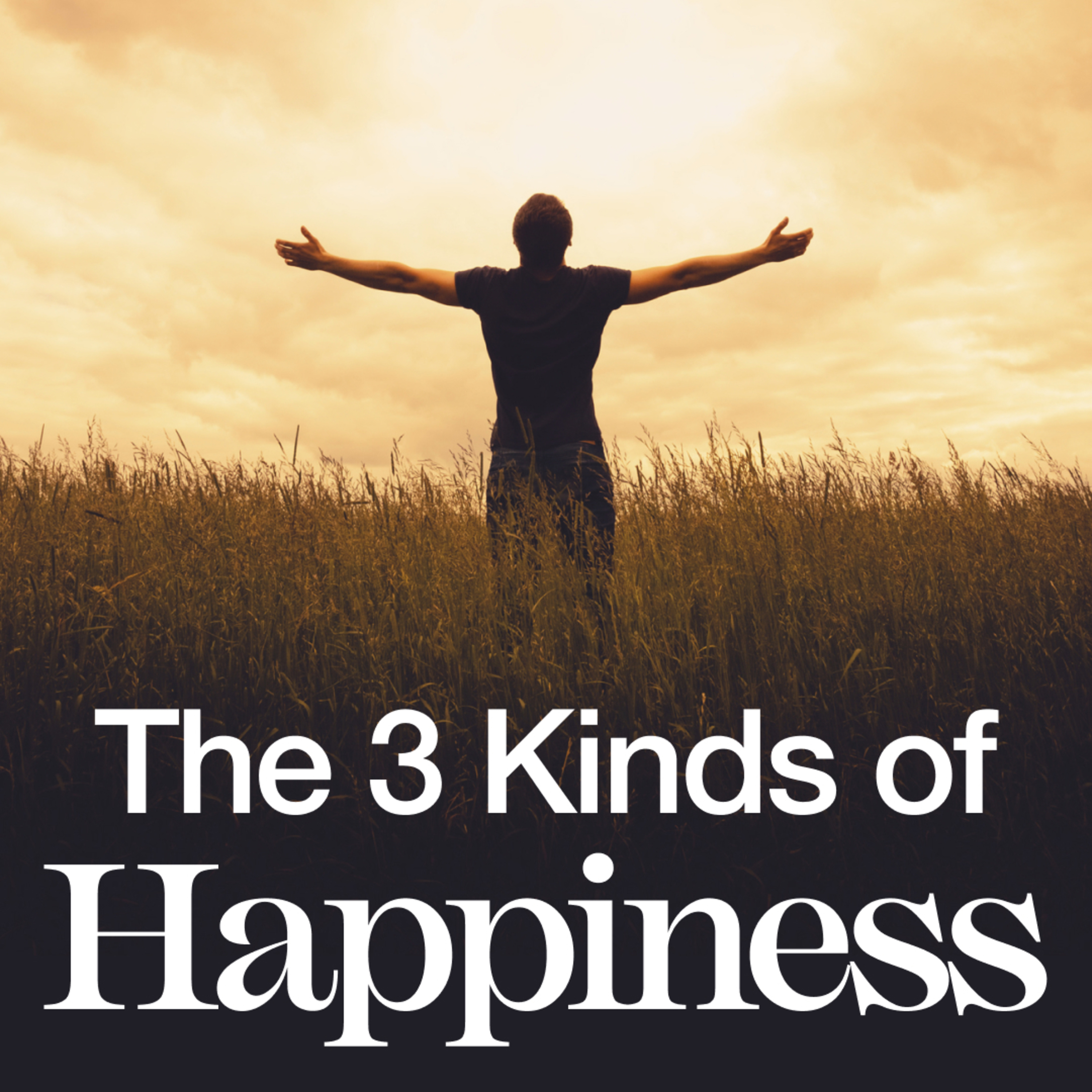 What Are The Three 'Kinds' of Happiness? - The Spiritual Pursuit of Happiness episode artwork