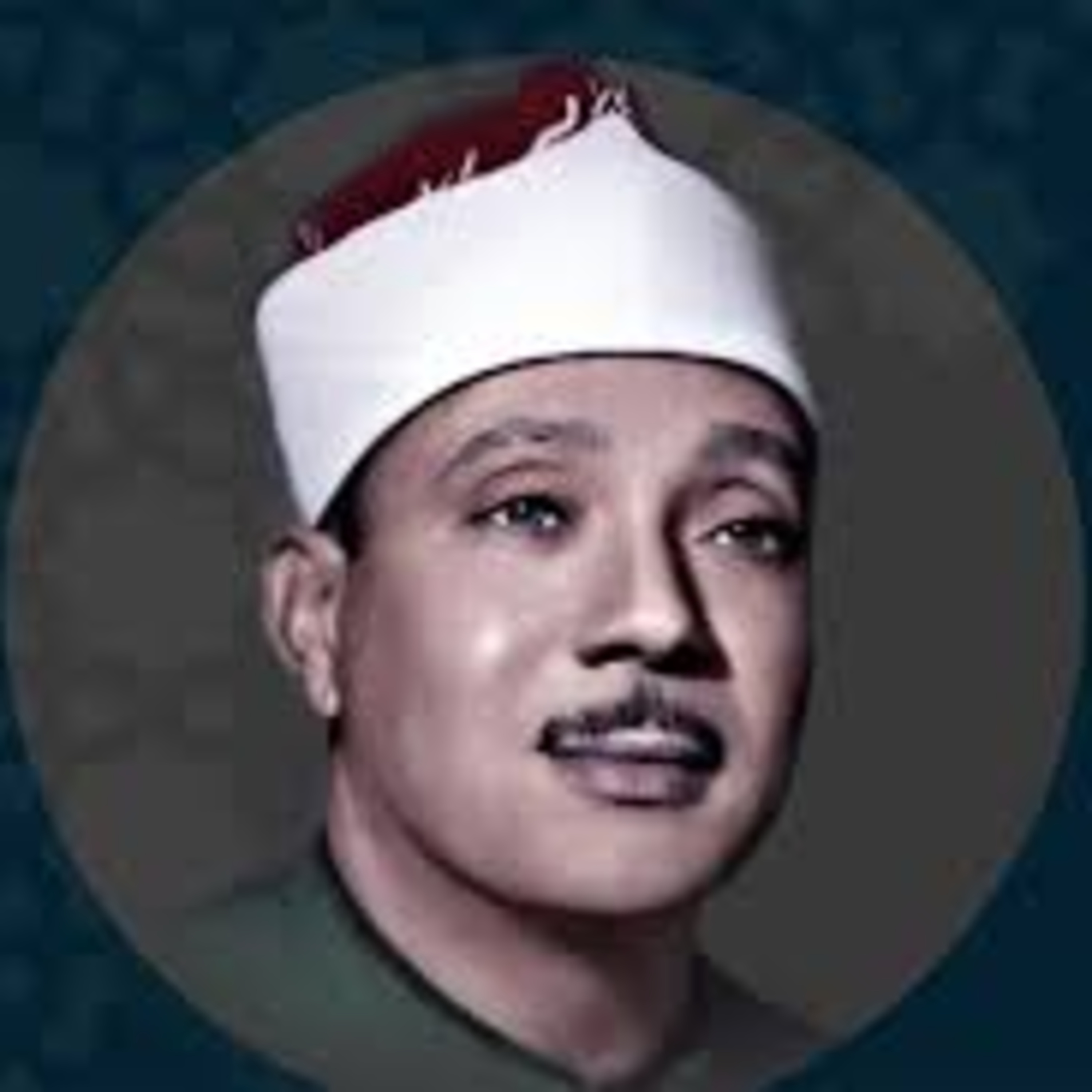 الجزء الثالث عشر | من القرآن الكريم