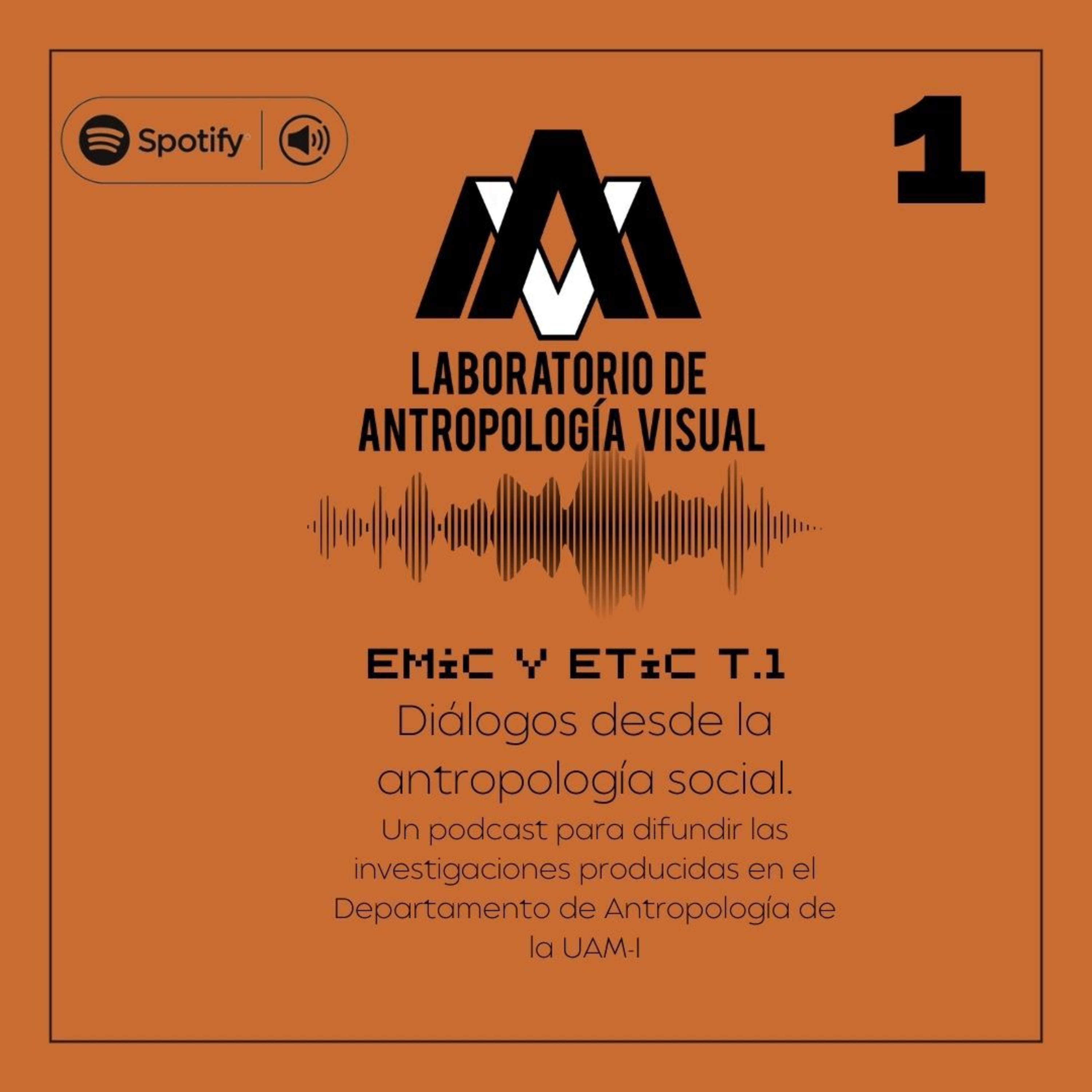 EMIC Y ETIC