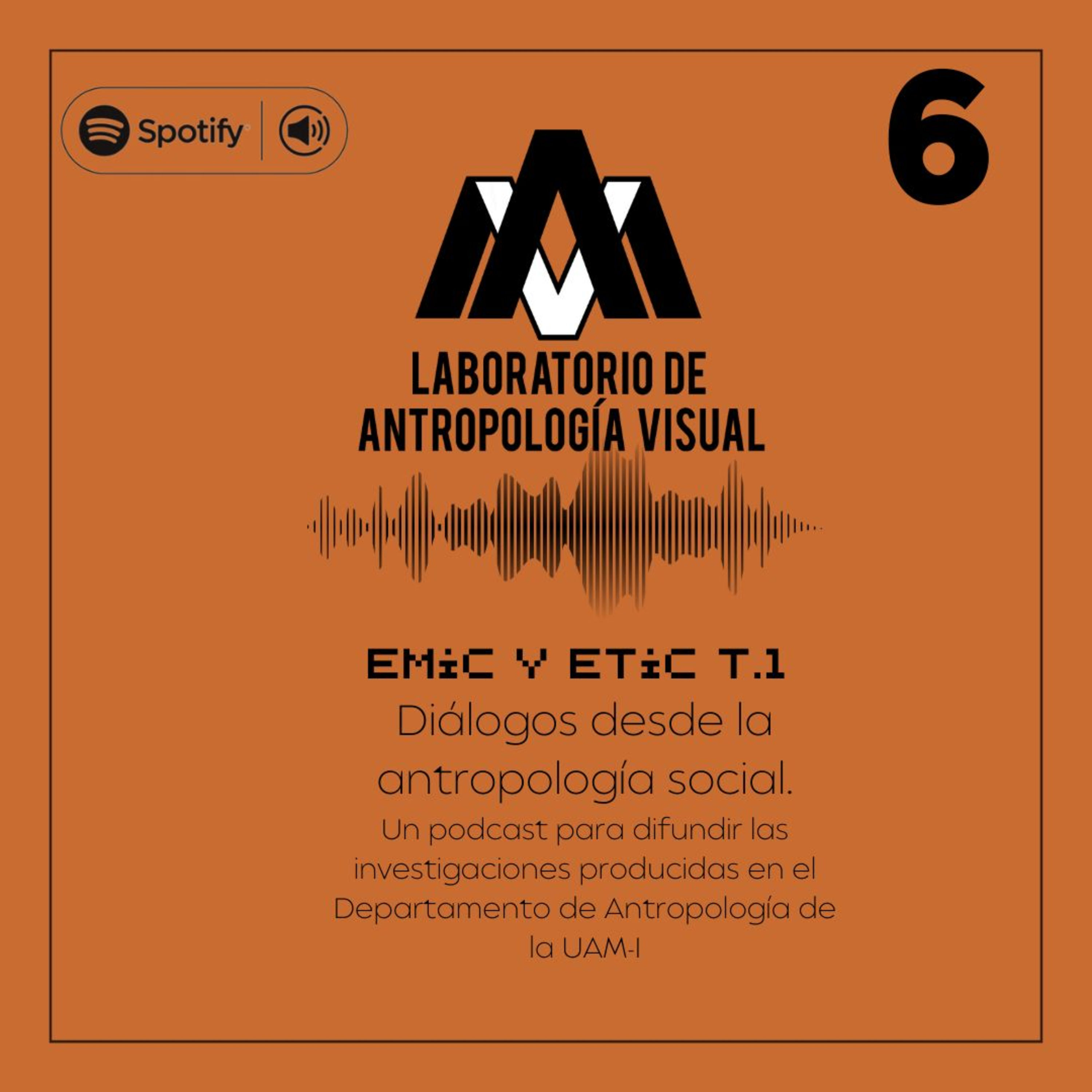 EMIC Y ETIC
