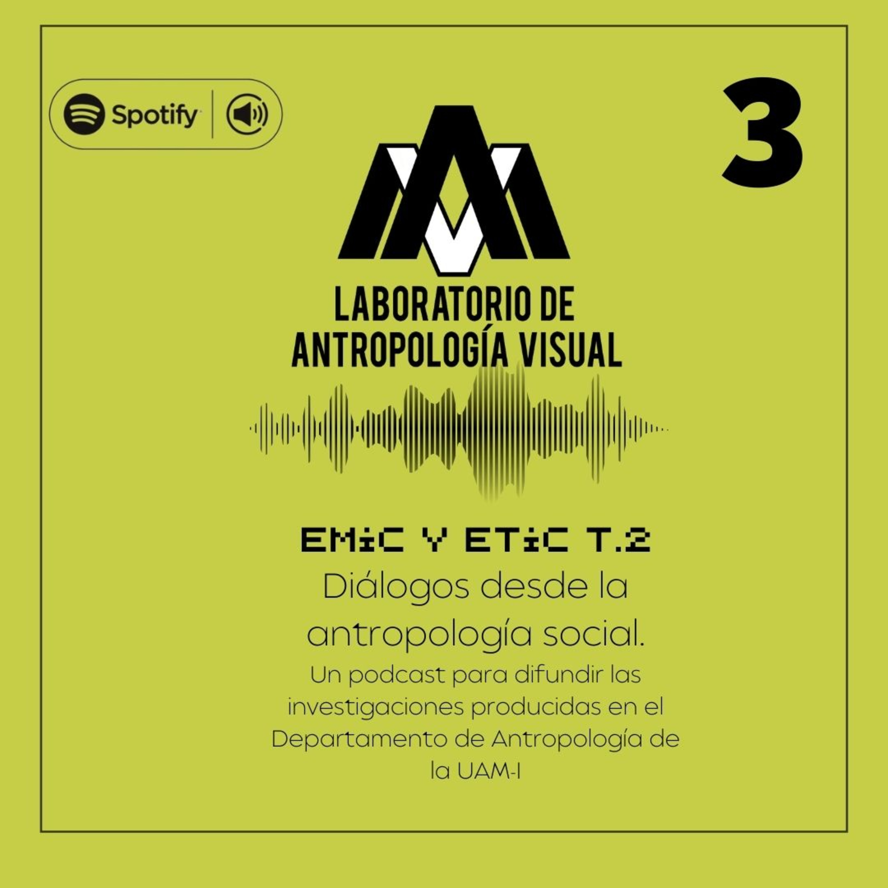EMIC Y ETIC