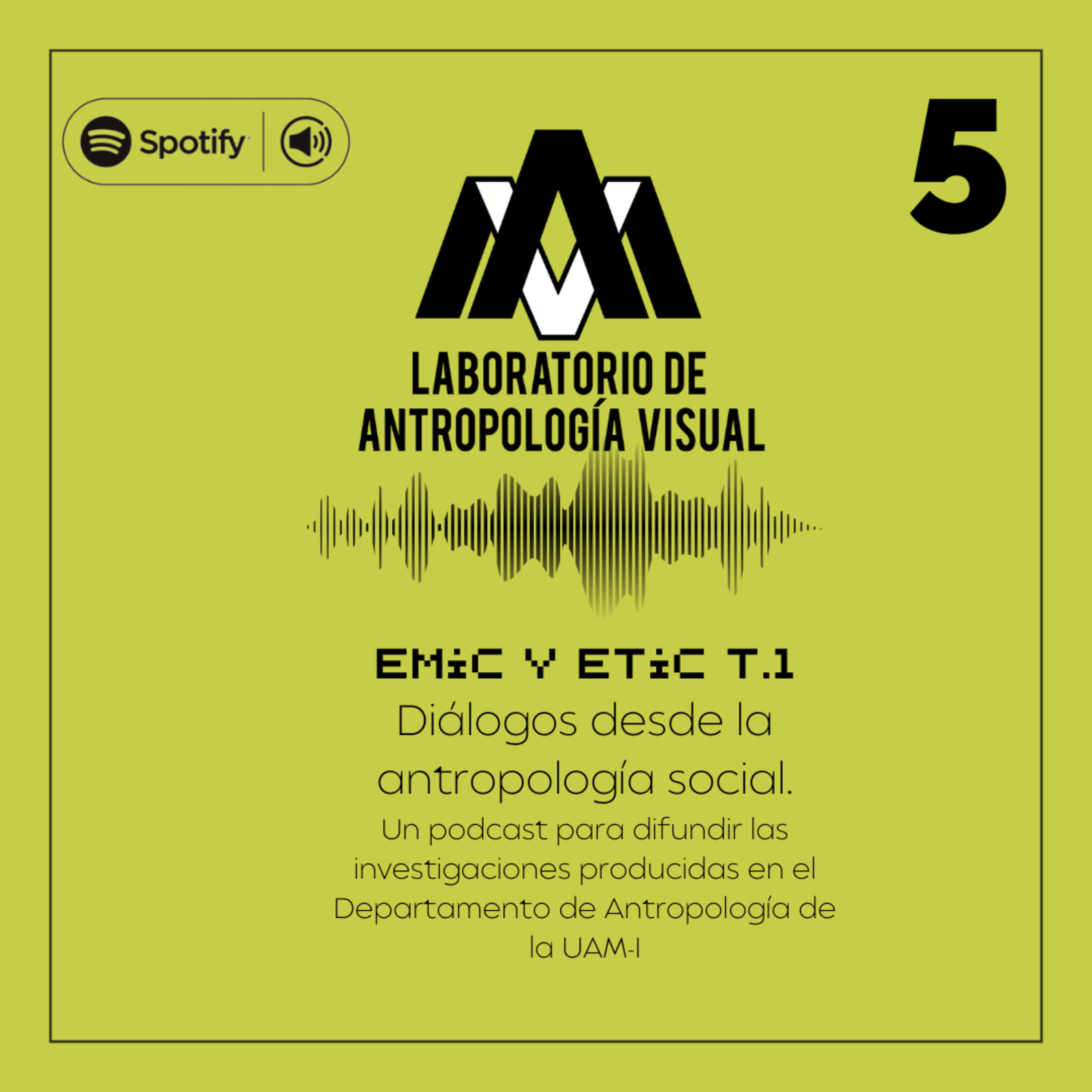 EMIC Y ETIC