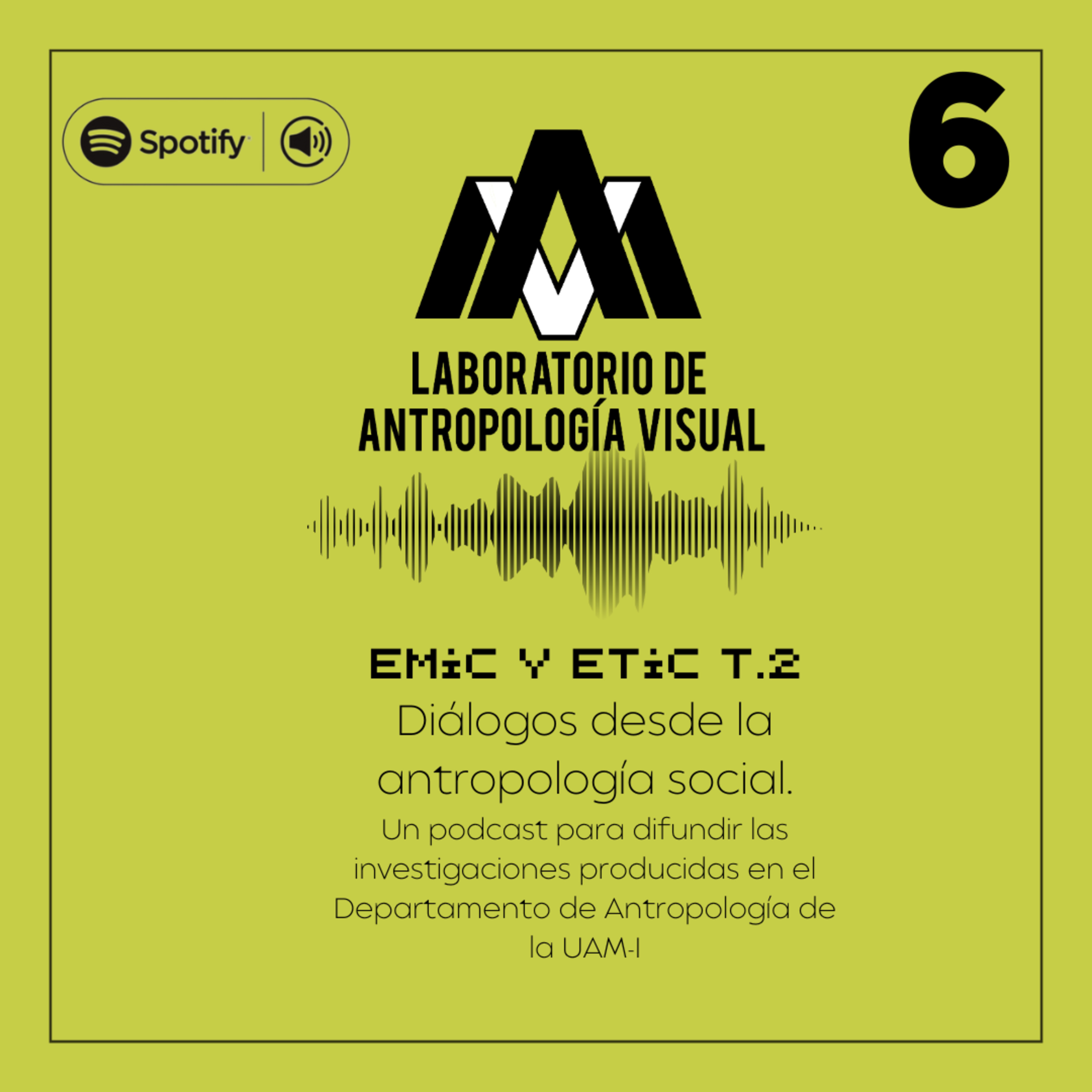 EMIC Y ETIC