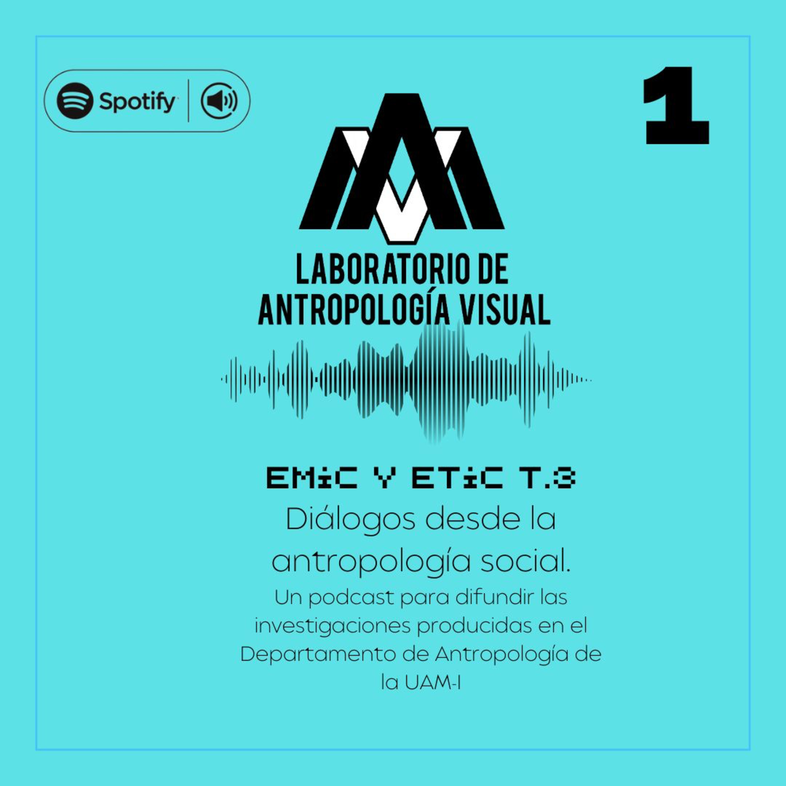 EMIC Y ETIC