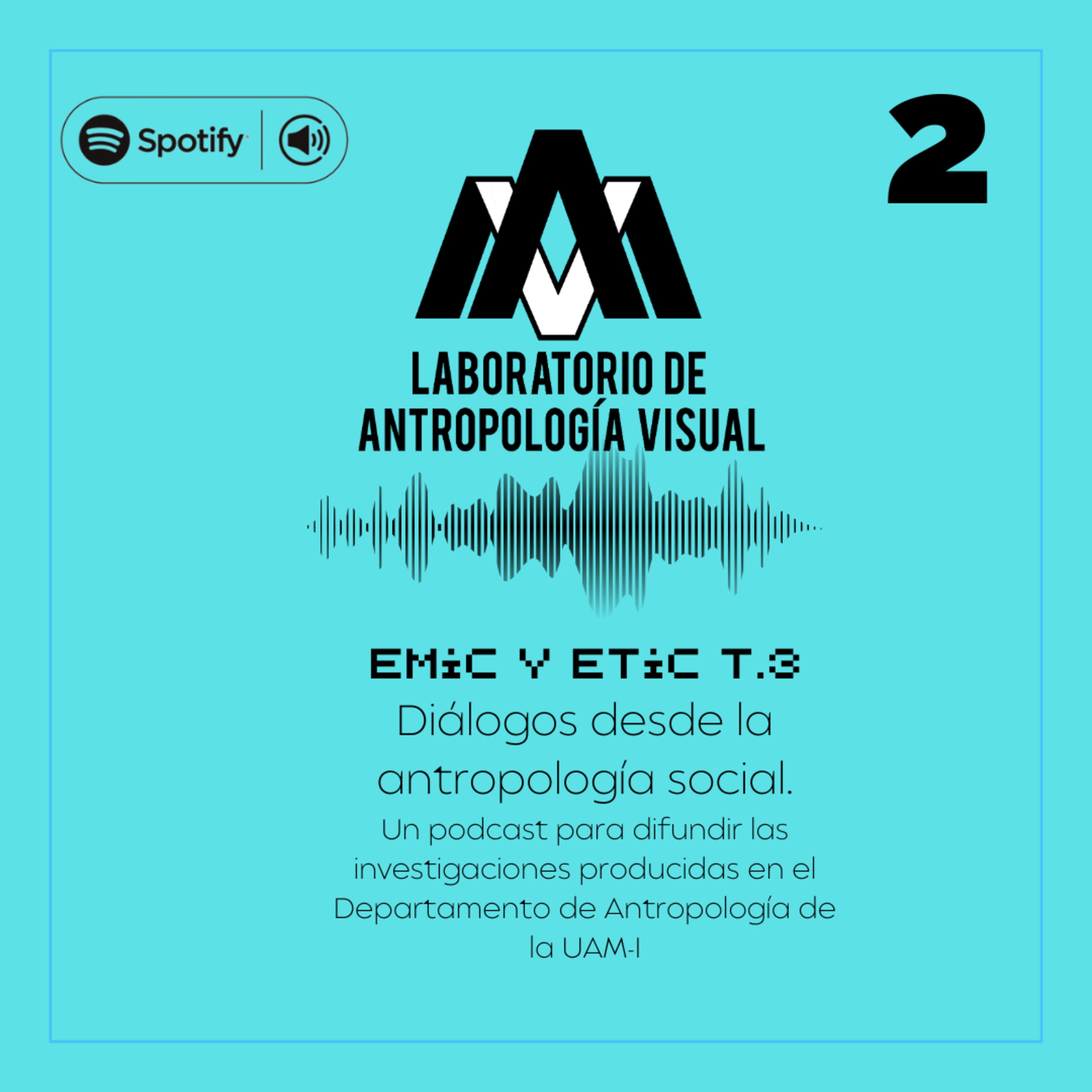 EMIC Y ETIC