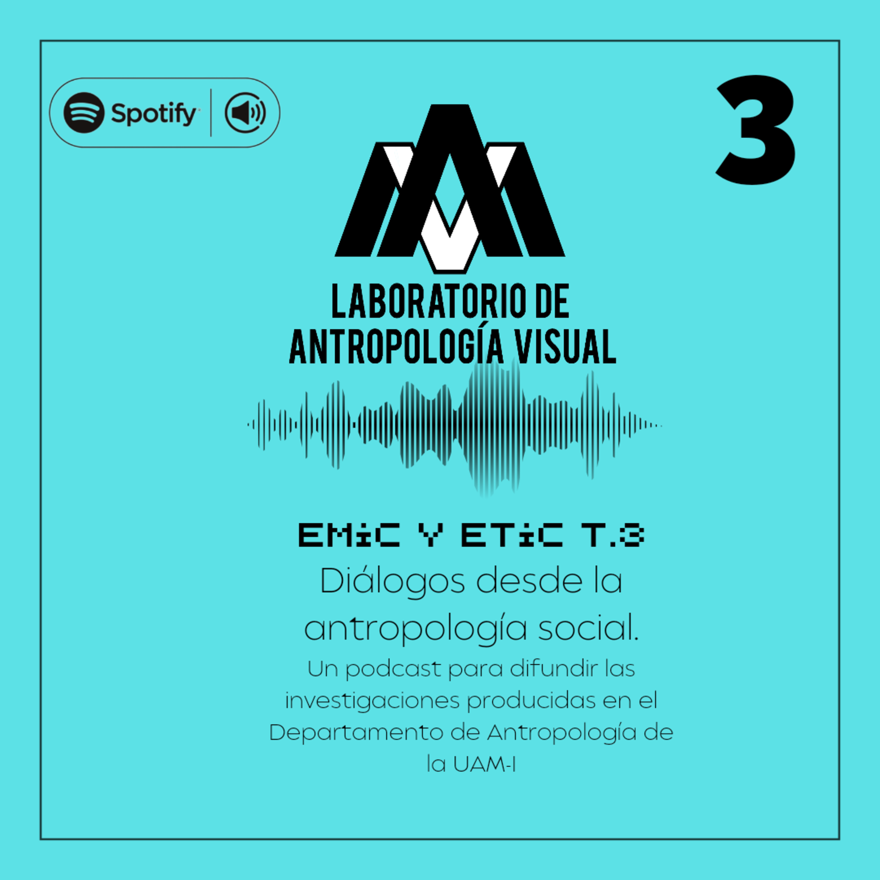 EMIC Y ETIC