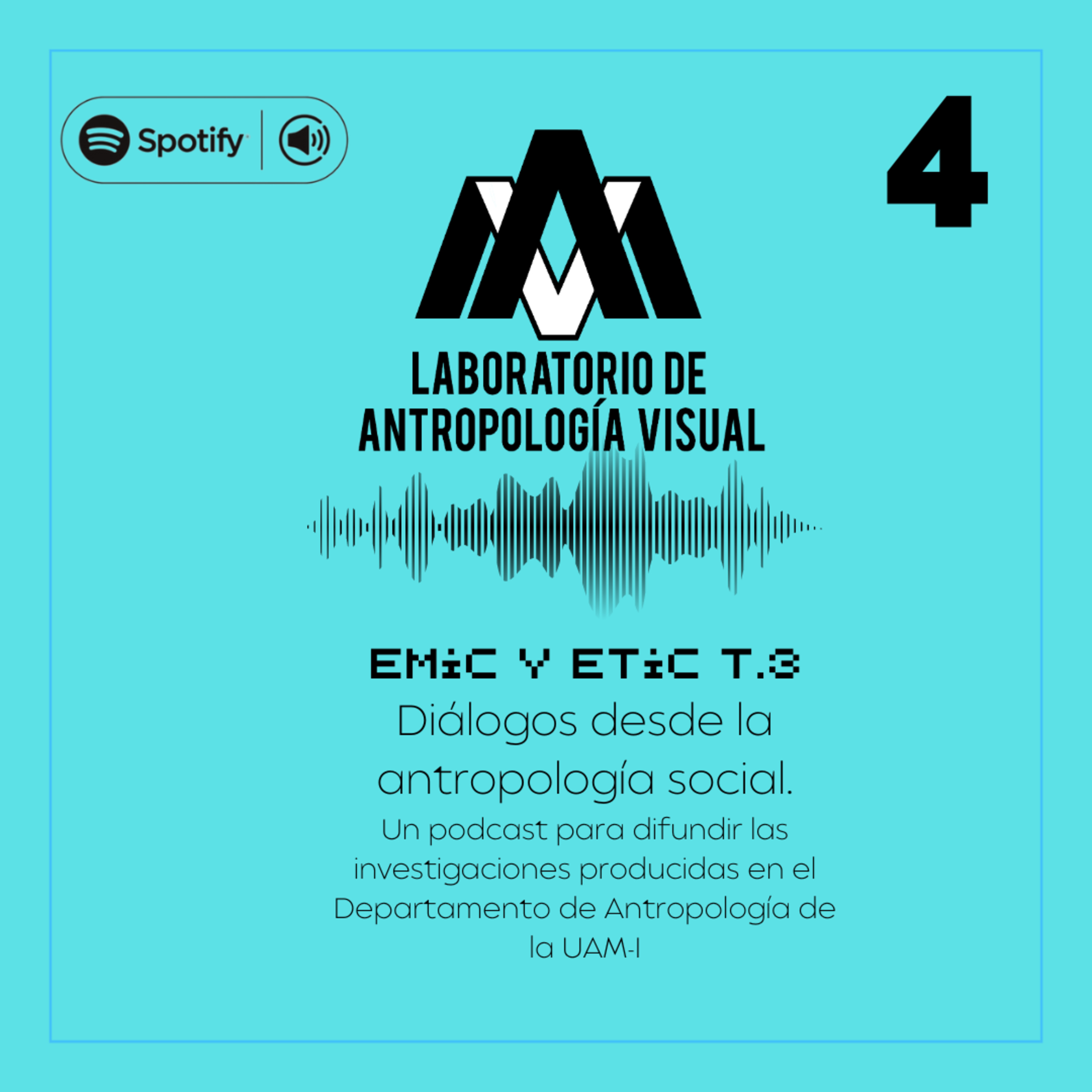 EMIC Y ETIC