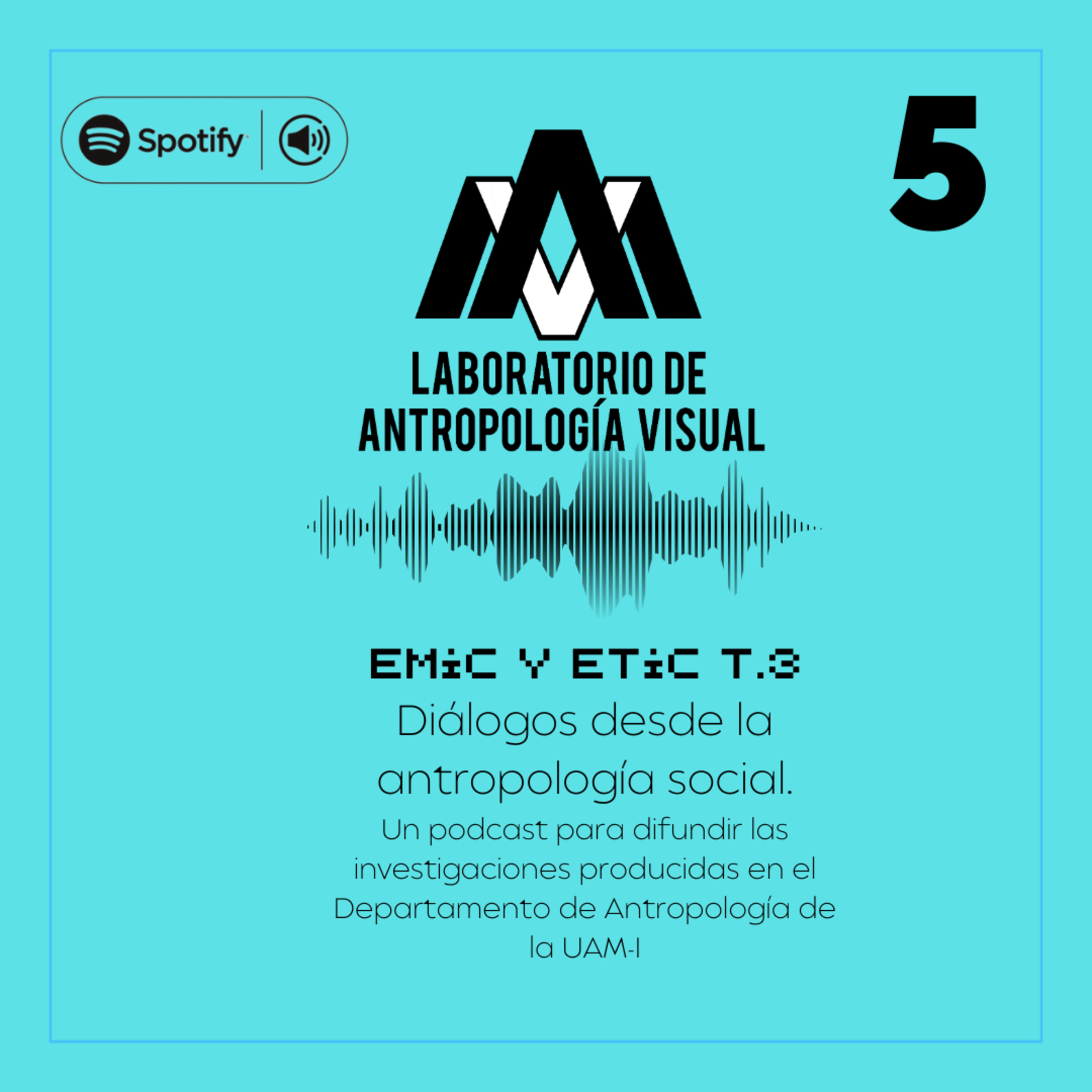 EMIC Y ETIC