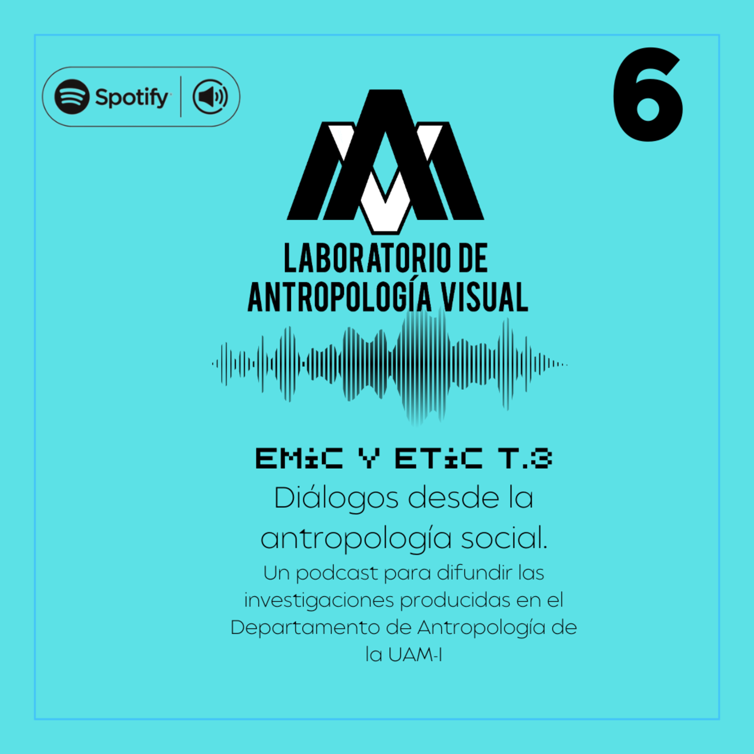 EMIC Y ETIC