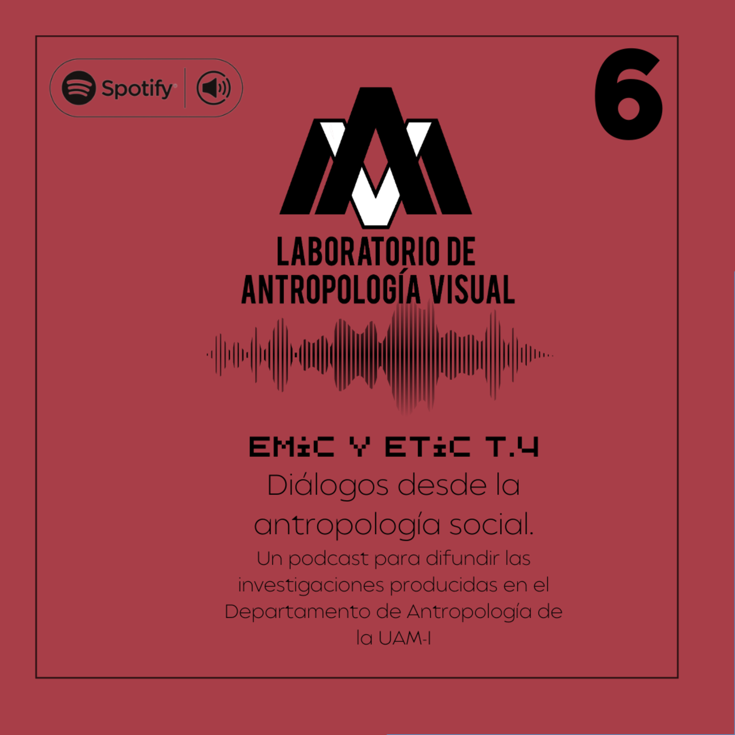 EMIC Y ETIC