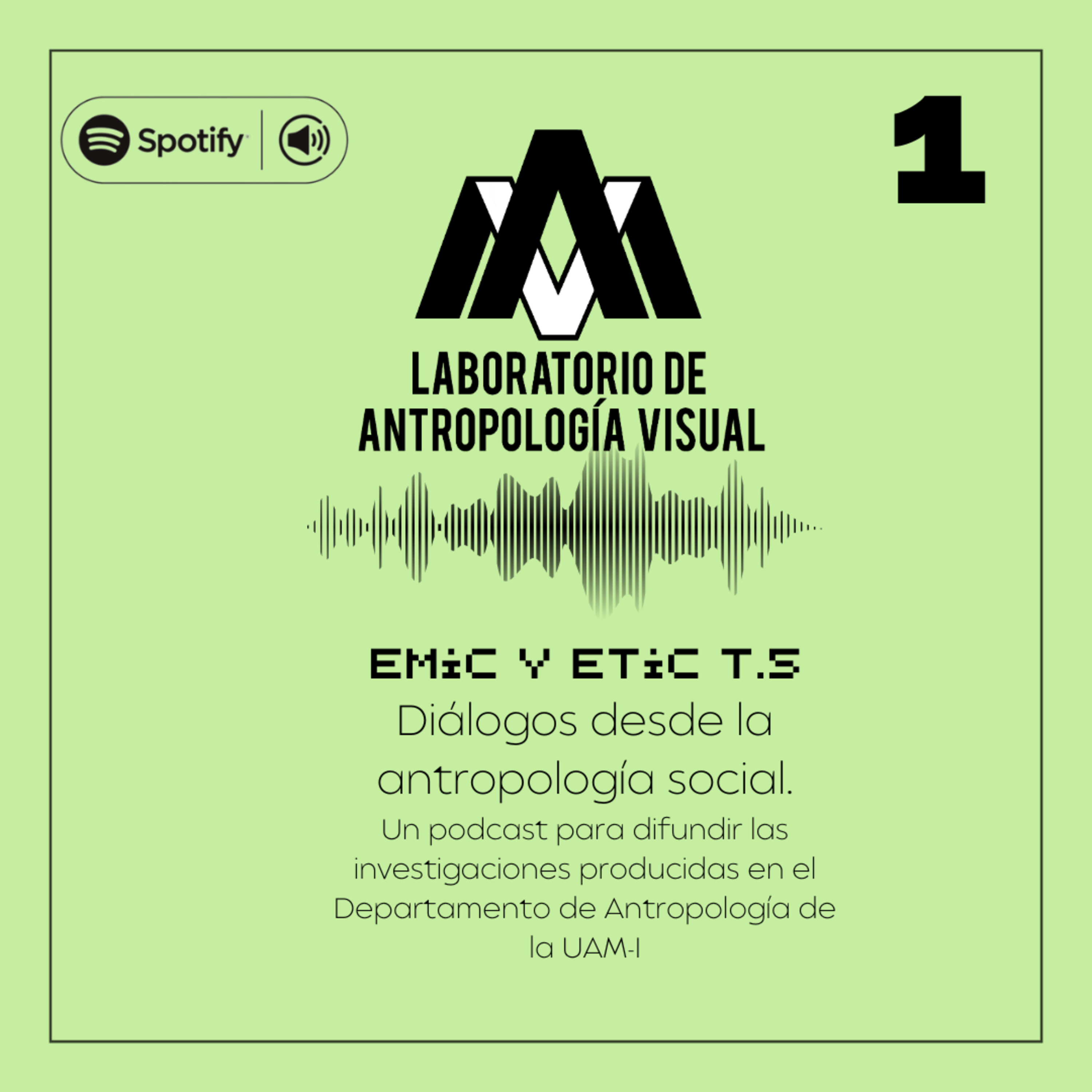 EMIC Y ETIC