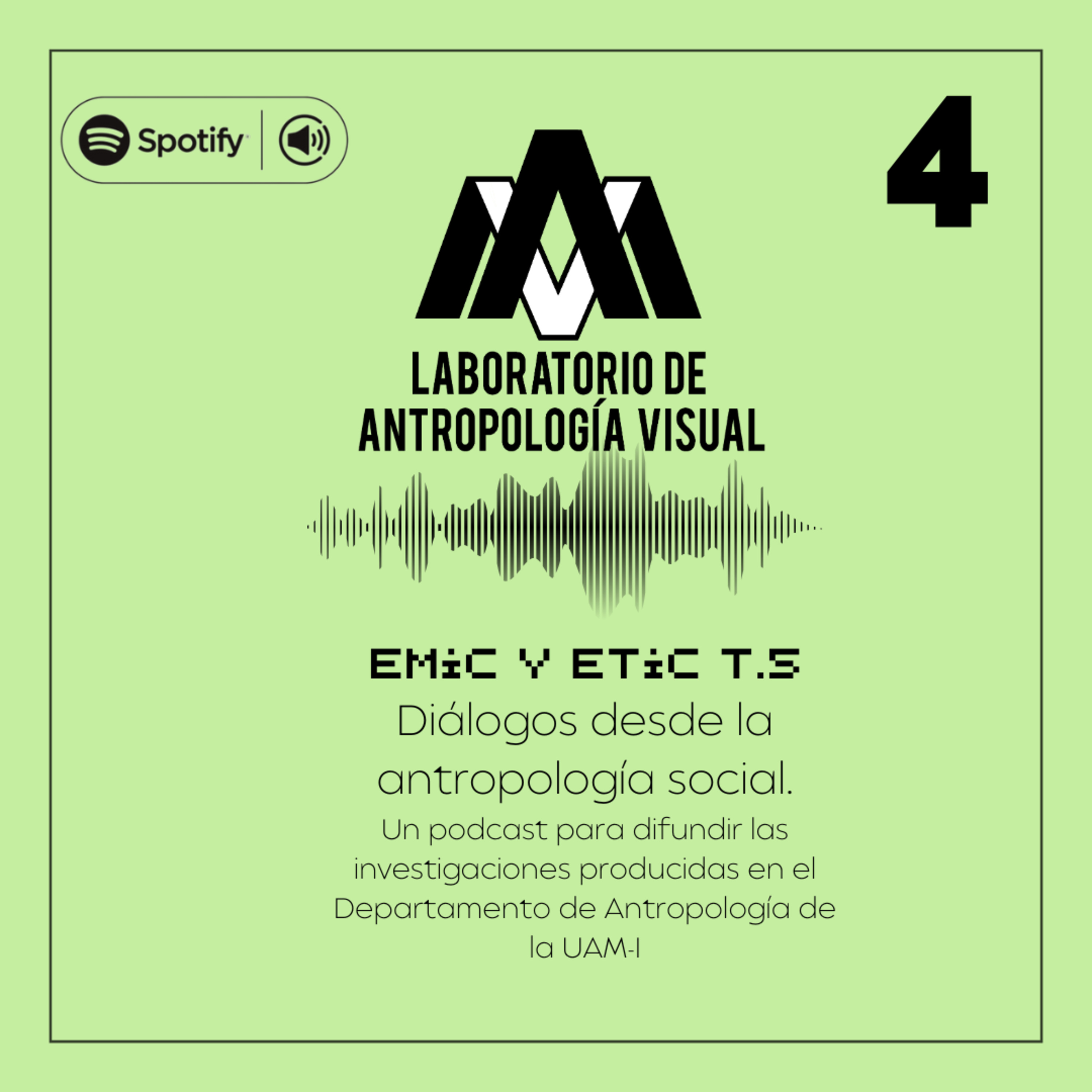EMIC Y ETIC