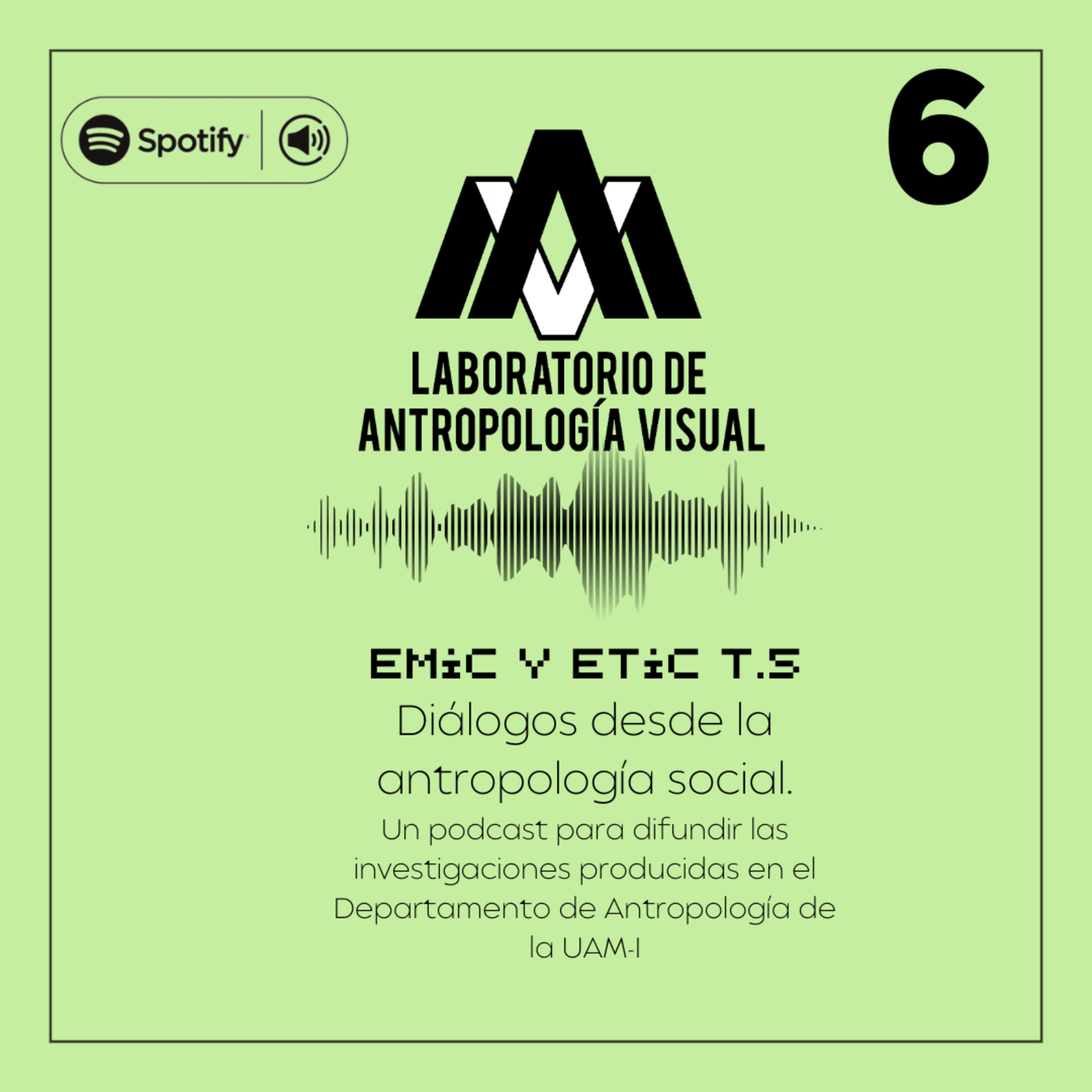 EMIC Y ETIC