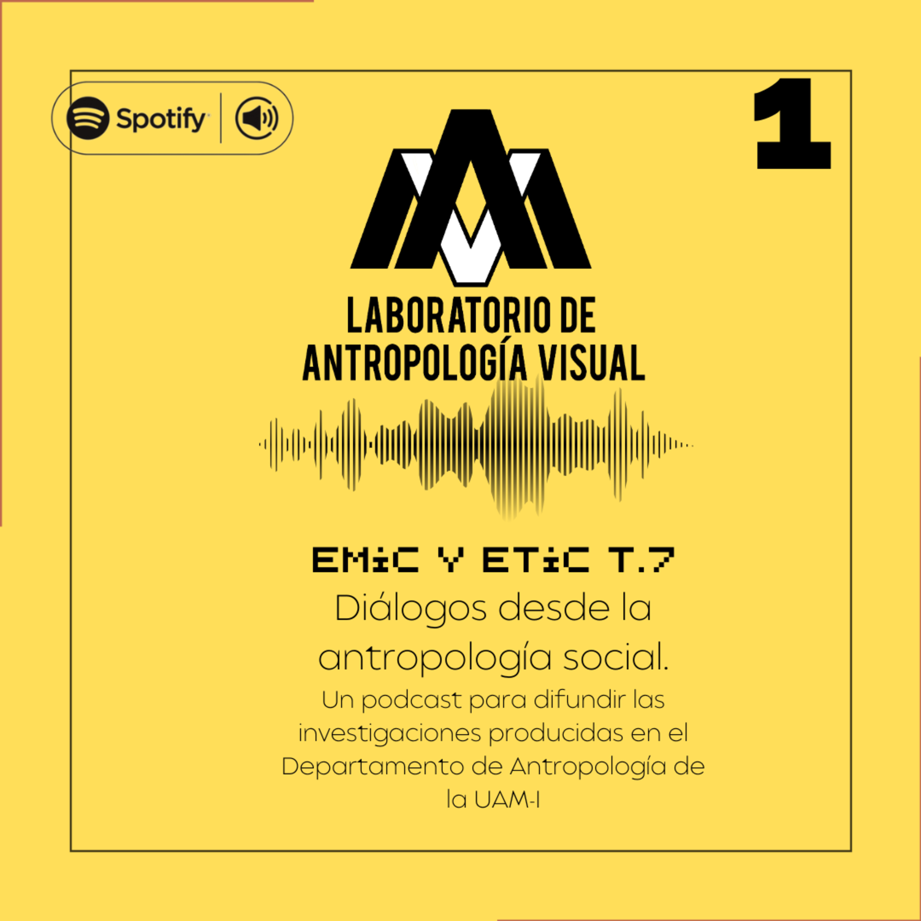 EMIC Y ETIC