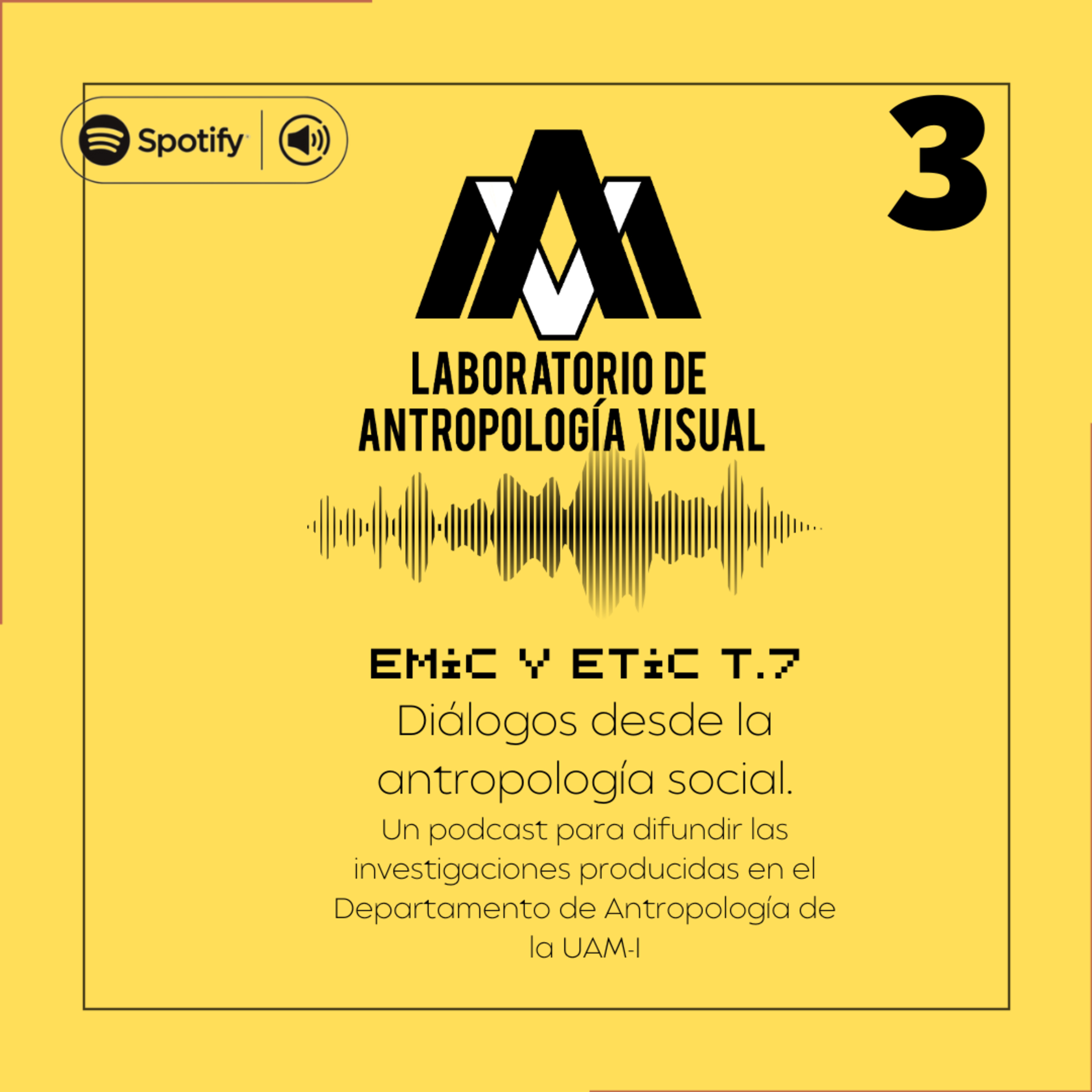 EMIC Y ETIC