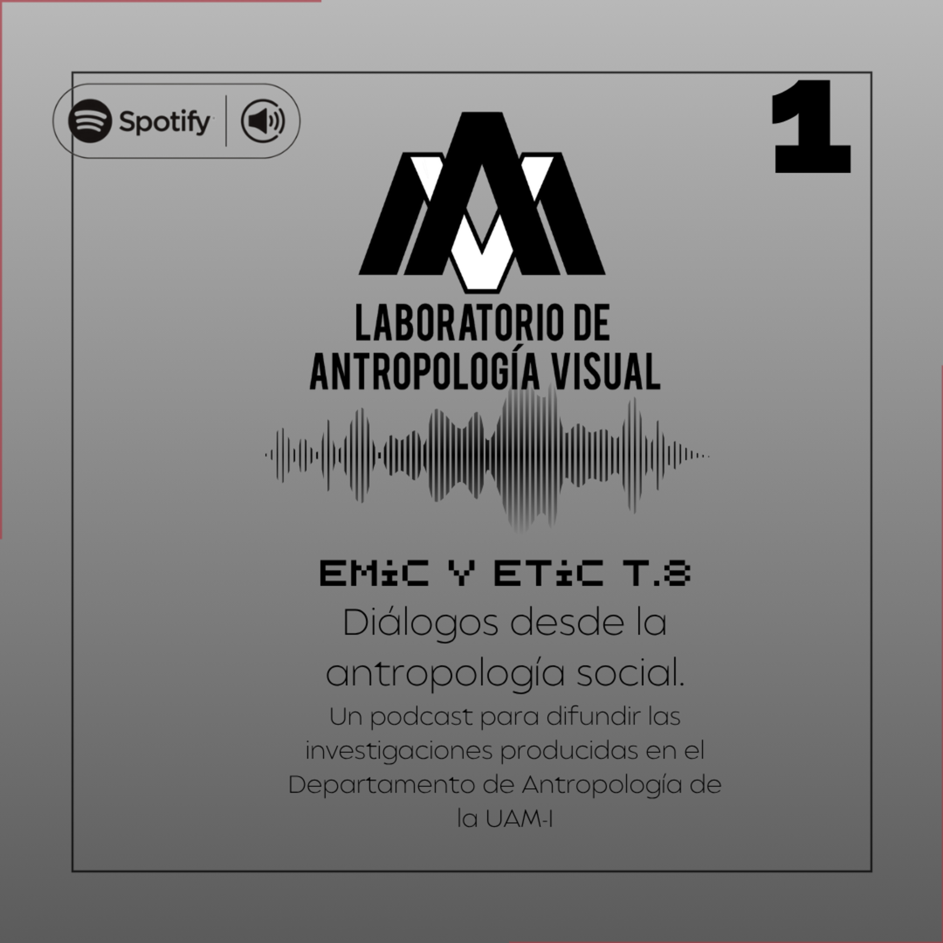 EMIC Y ETIC