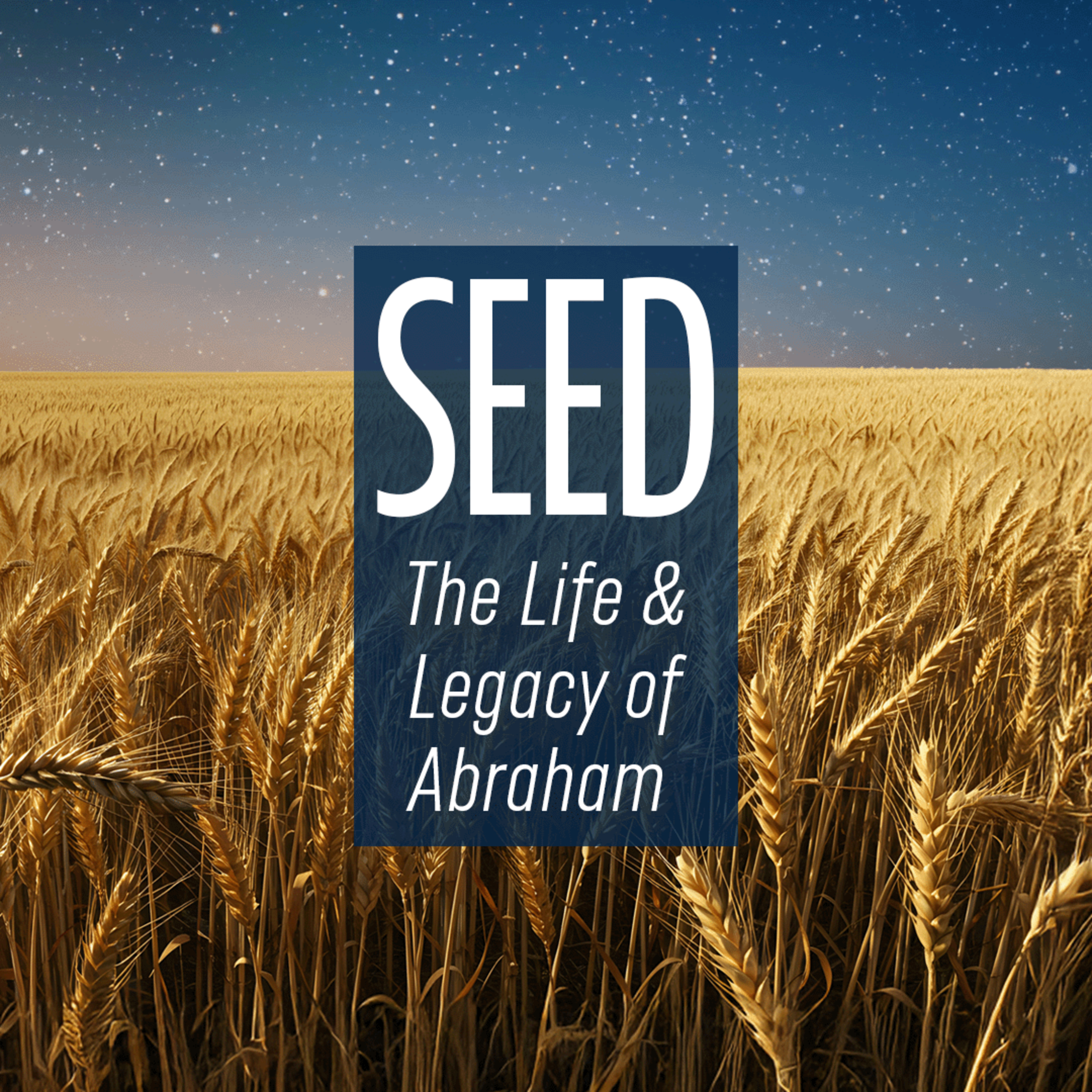 Seed, Part 2 - "Abraham's Father"