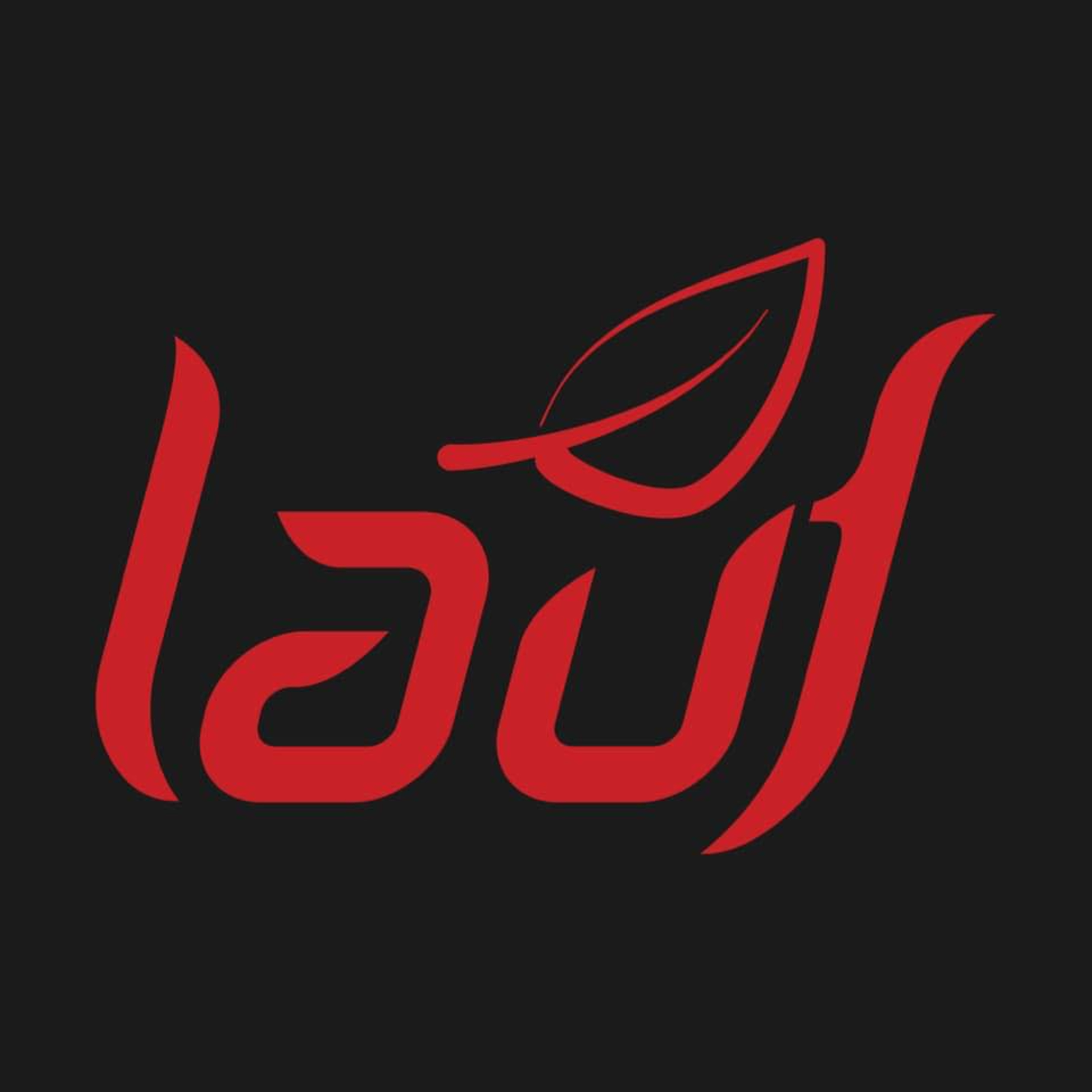The story of Lauf - An Icelandic bike brand - gravel in Iceland, building bike and much more | Ep. 3 episode artwork