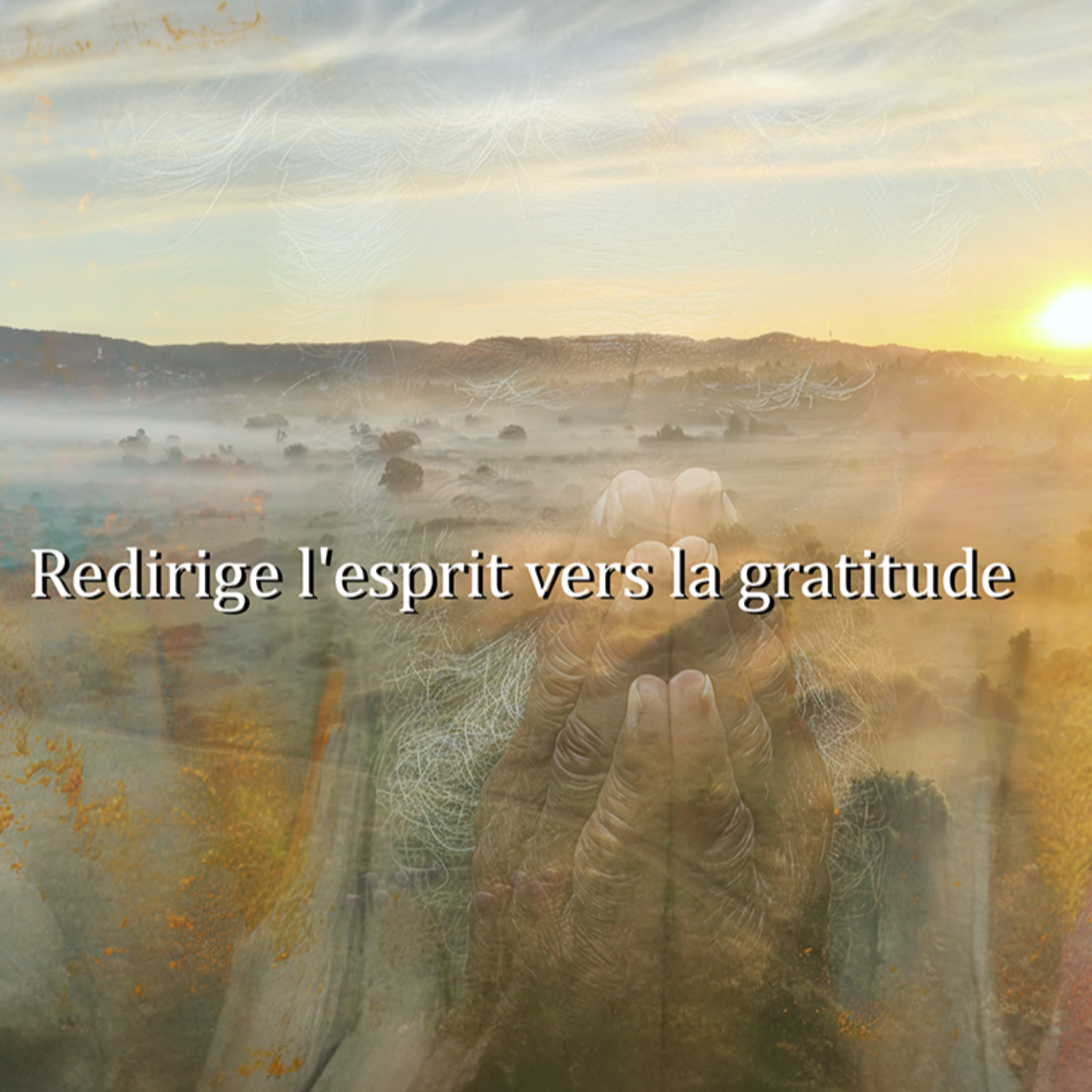 "Le Pouvoir Transformateur du 'Merci' : Une Prière pour la Gratitude"