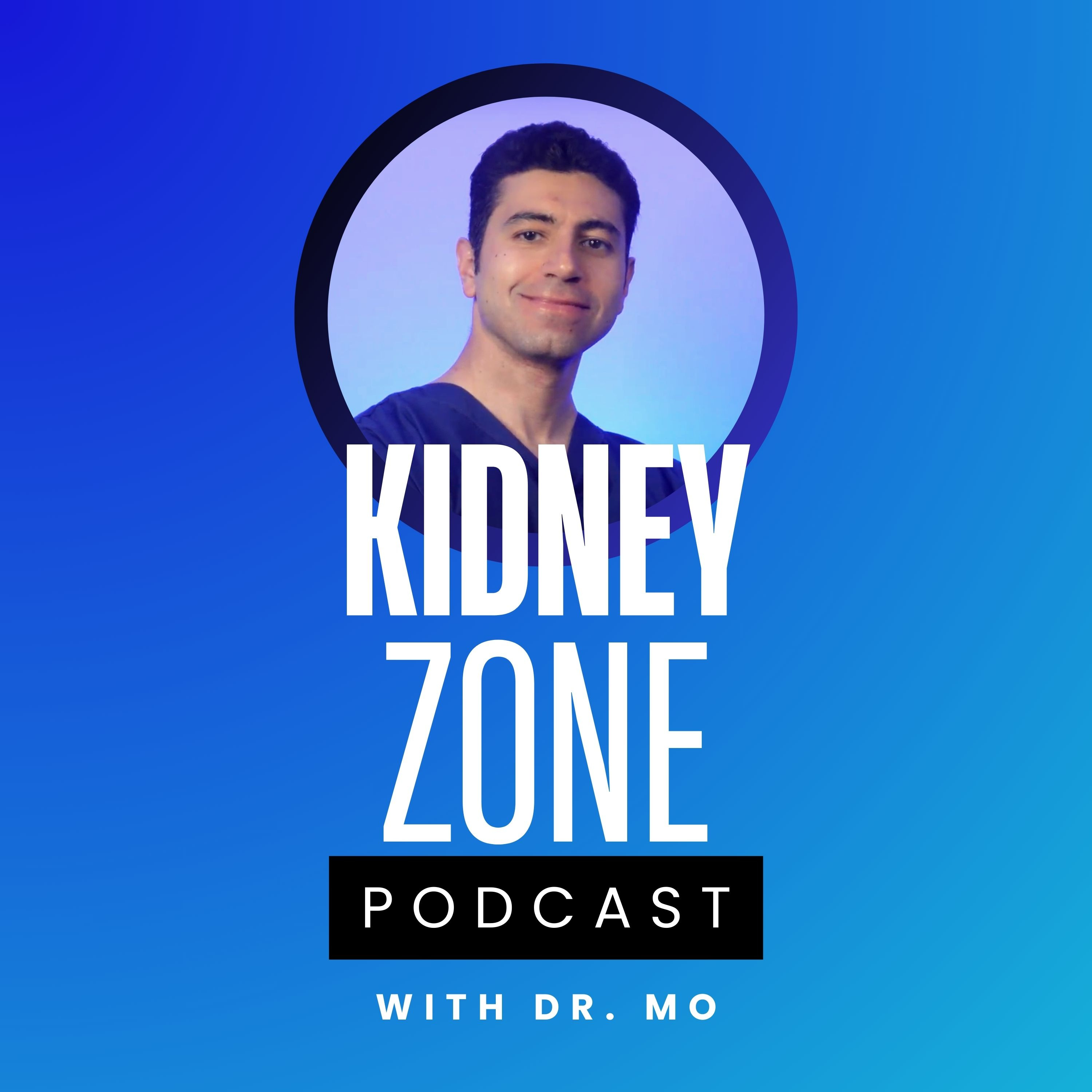Welcome to the Kidney Zone Podcast with Dr. Mo episode artwork