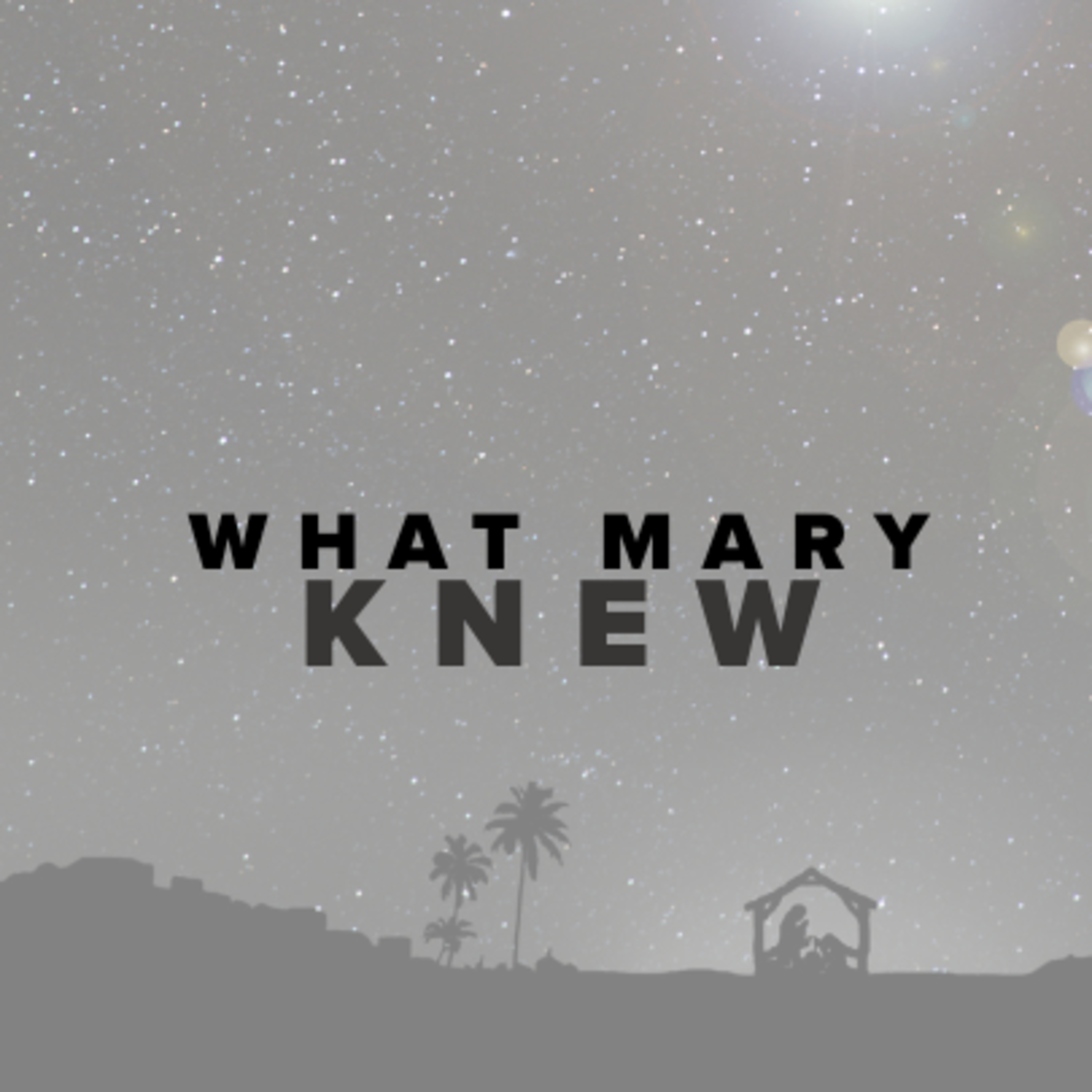 What Mary Knew episode artwork
