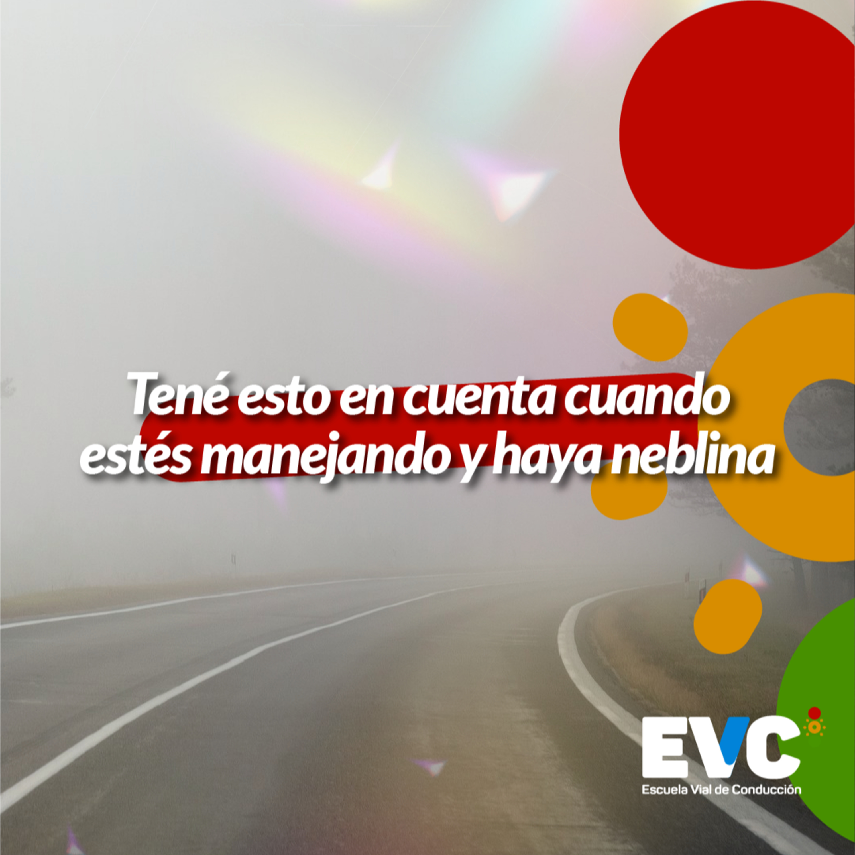 Tené esto en cuenta cuando estés manejando y haya neblina episode artwork