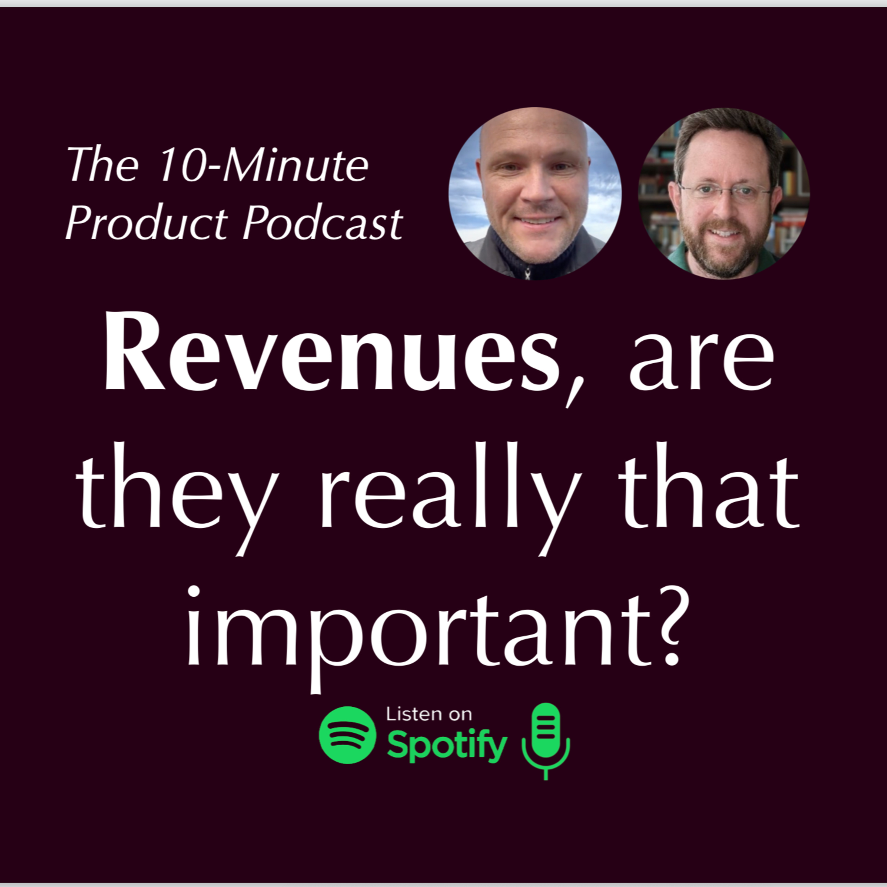 Revenues, are they really that important? episode artwork