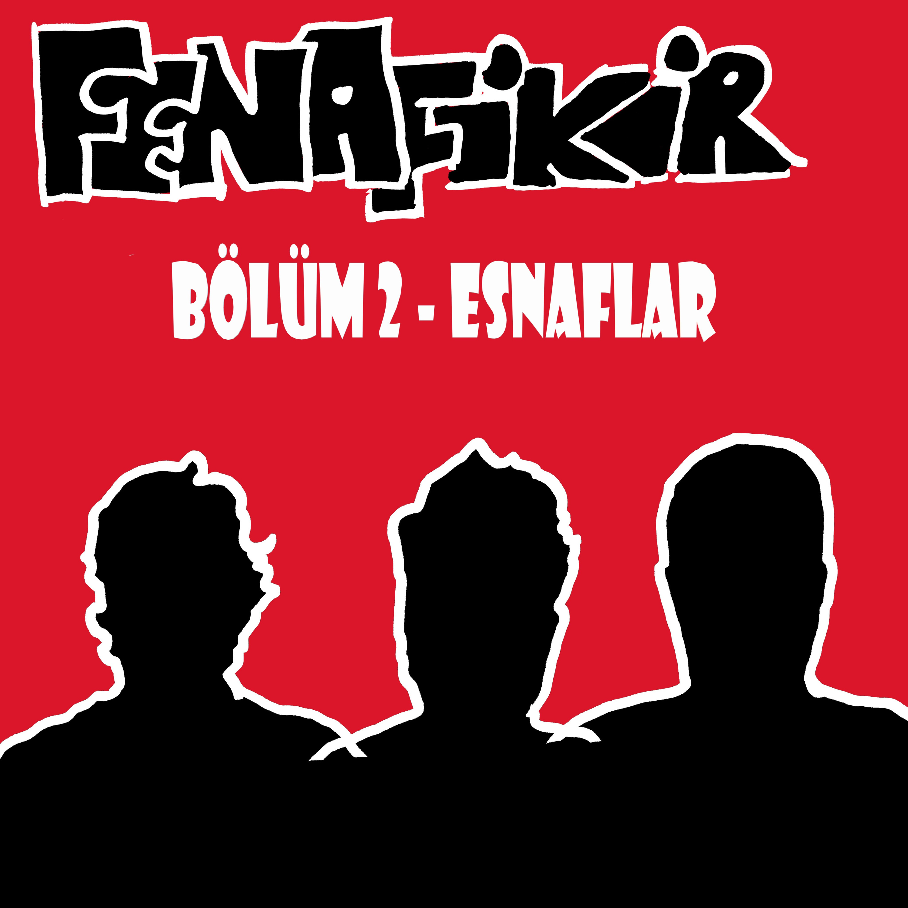 FenaFikir