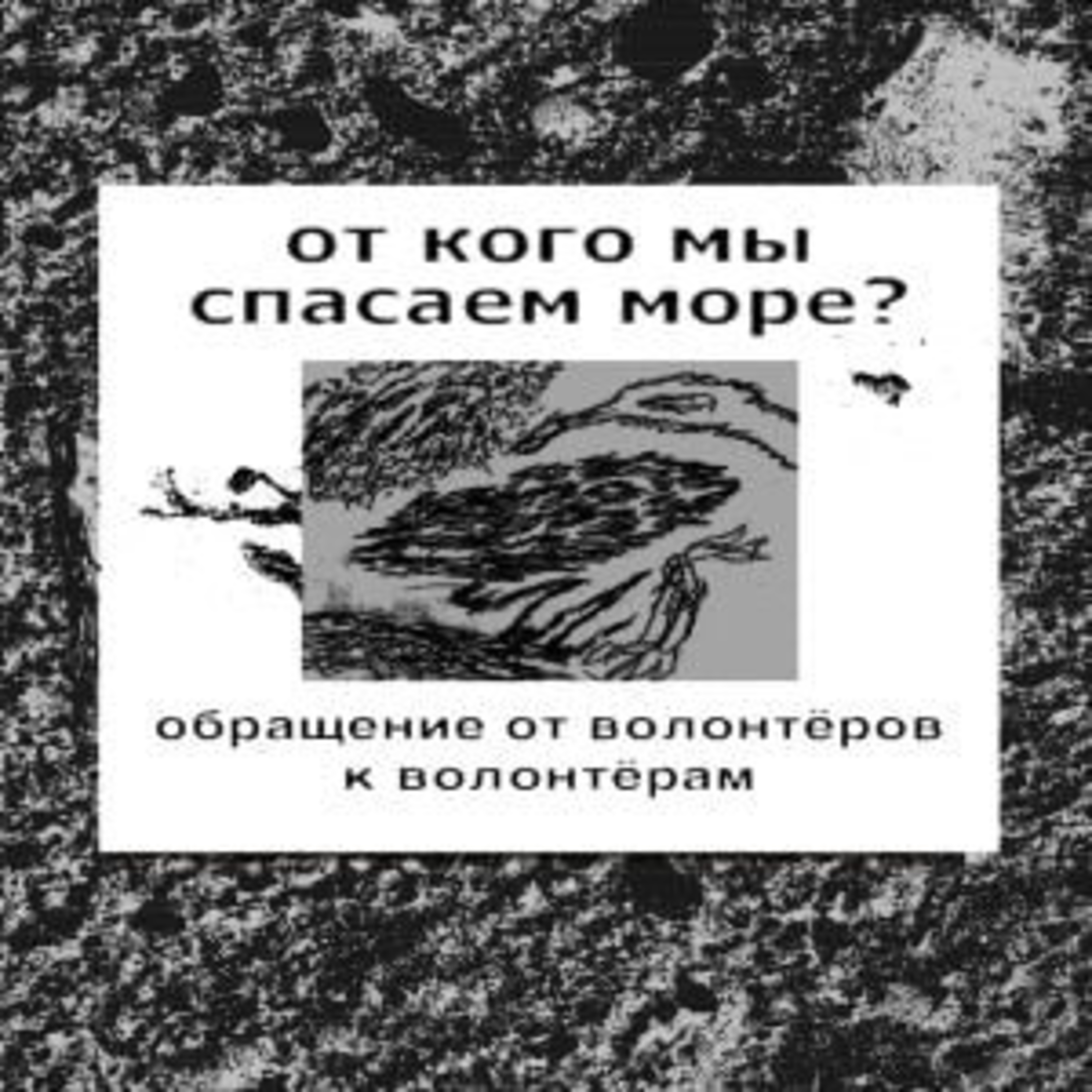 От кого мы спасаем море. Черная чомга episode artwork