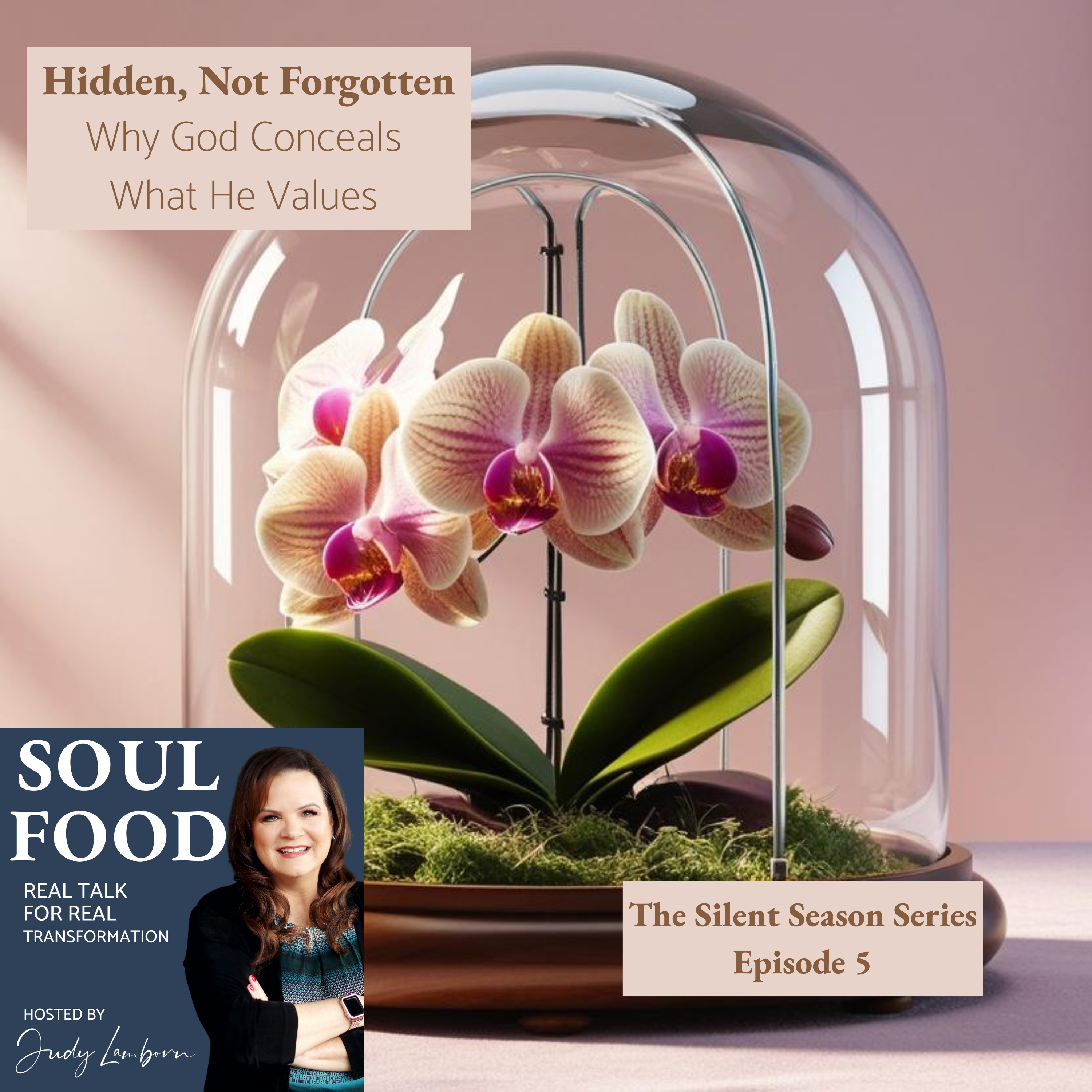 Soul Food: Real Talk for Real TransformationHosted by Judy Lamborn