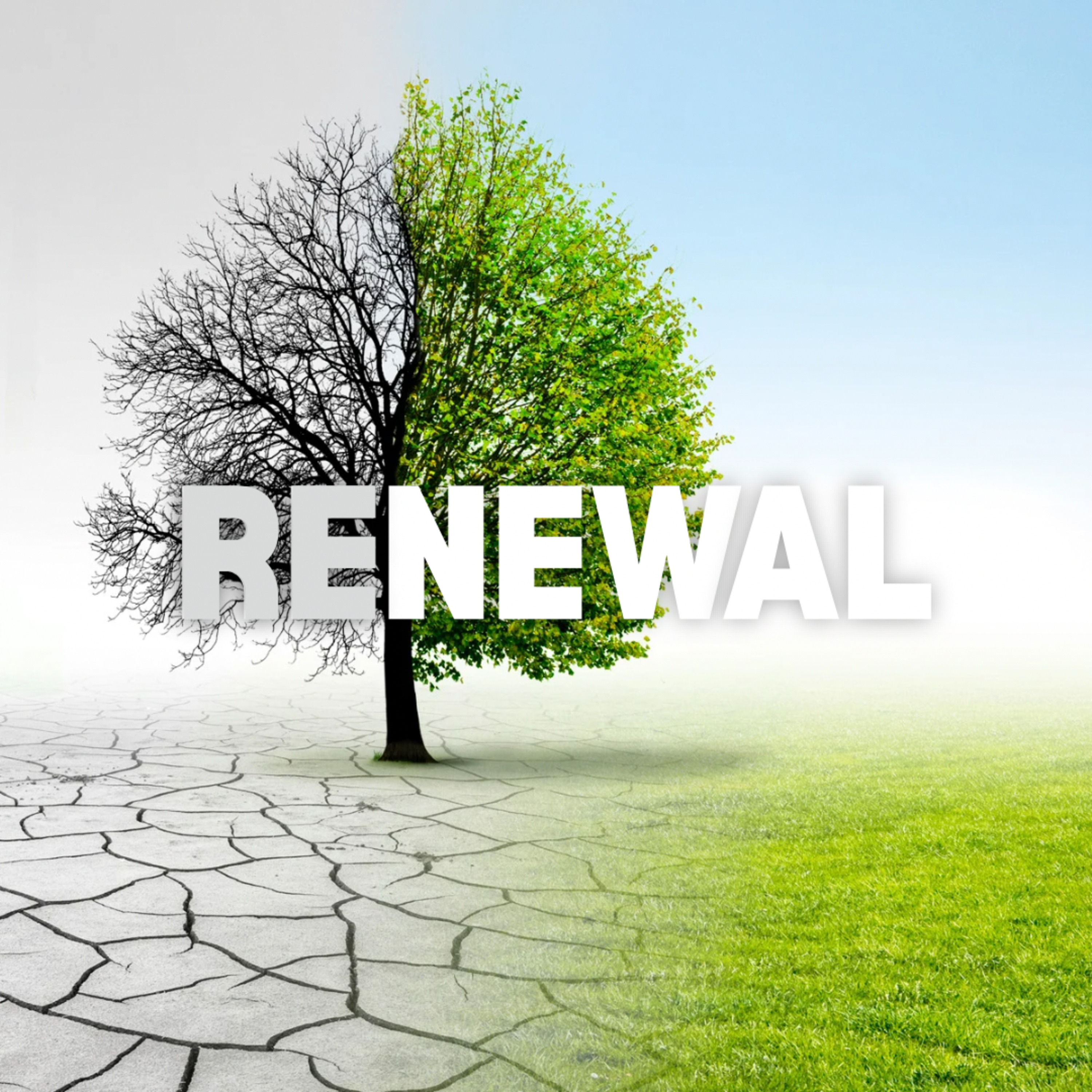 30th November 2025 - John 15:1-11 (How does remaining in Jesus change everything?) episode artwork