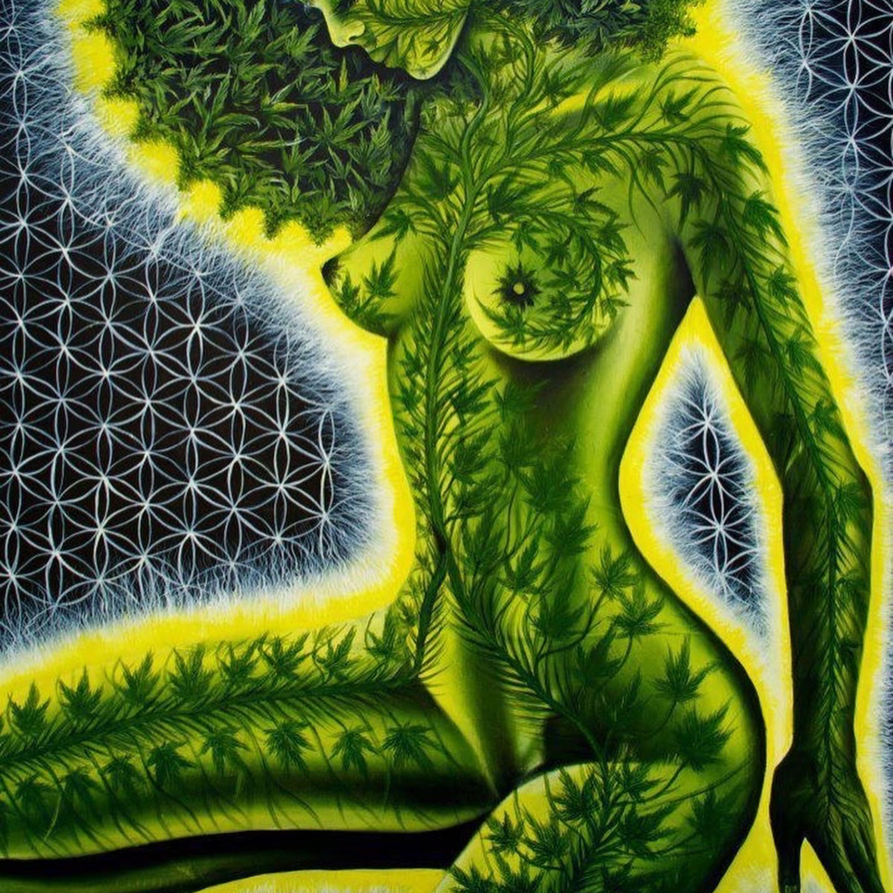 Wild Divine Awakenings